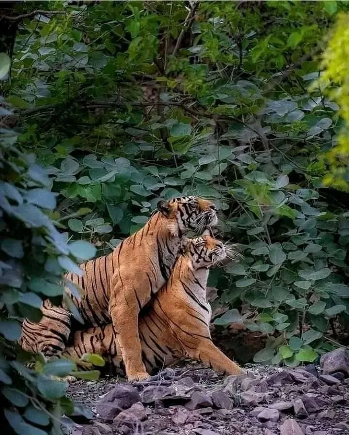 Audreystarr OnlyFans header