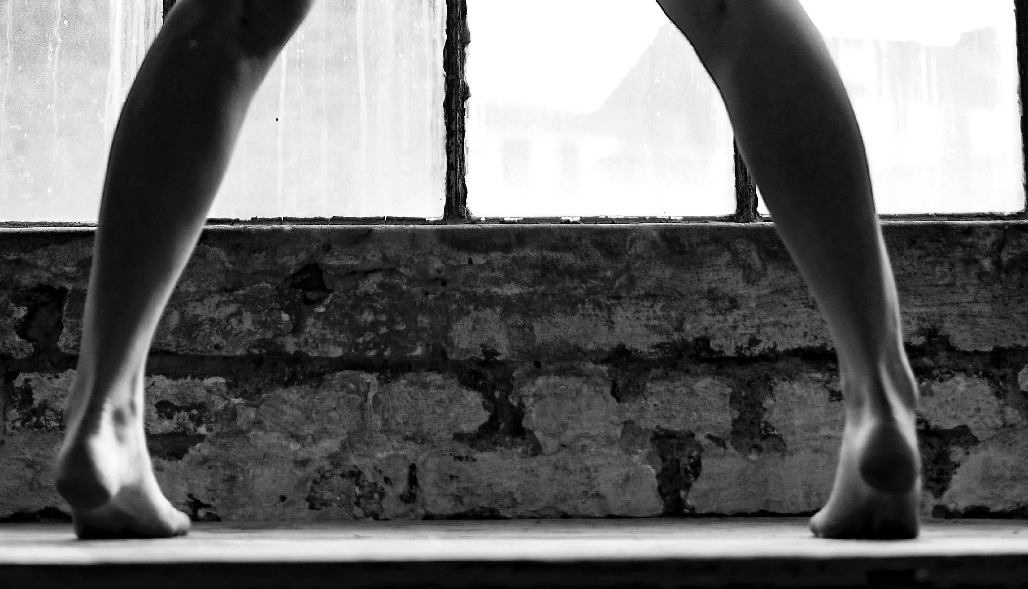 Samtpfötchen OnlyFans header