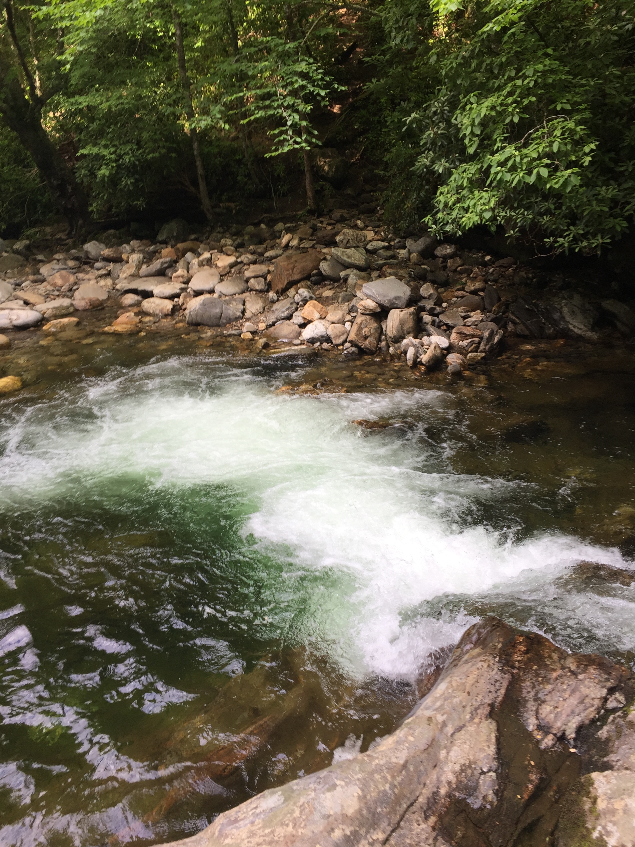 Augustine Duke OnlyFans header