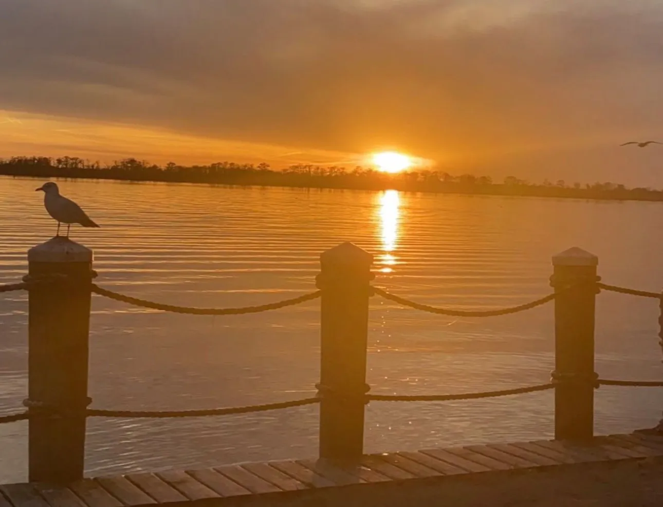 August James 🍁 OnlyFans header