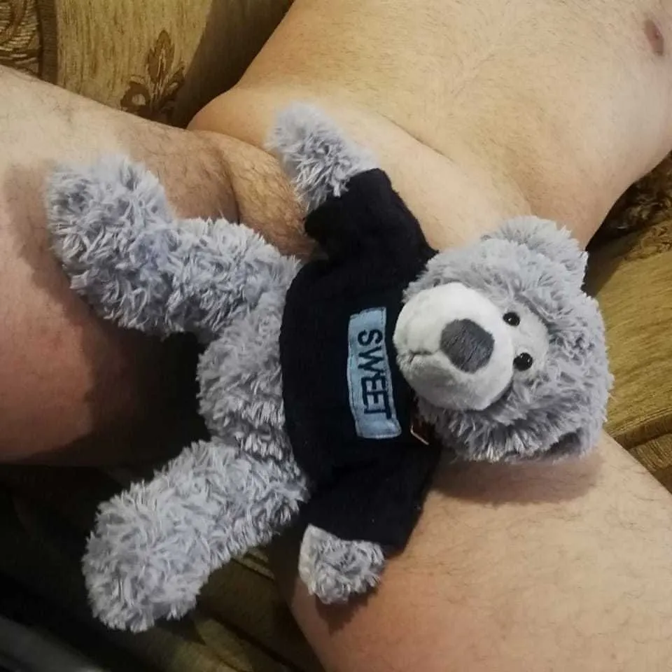 Augusto Volkman OnlyFans header