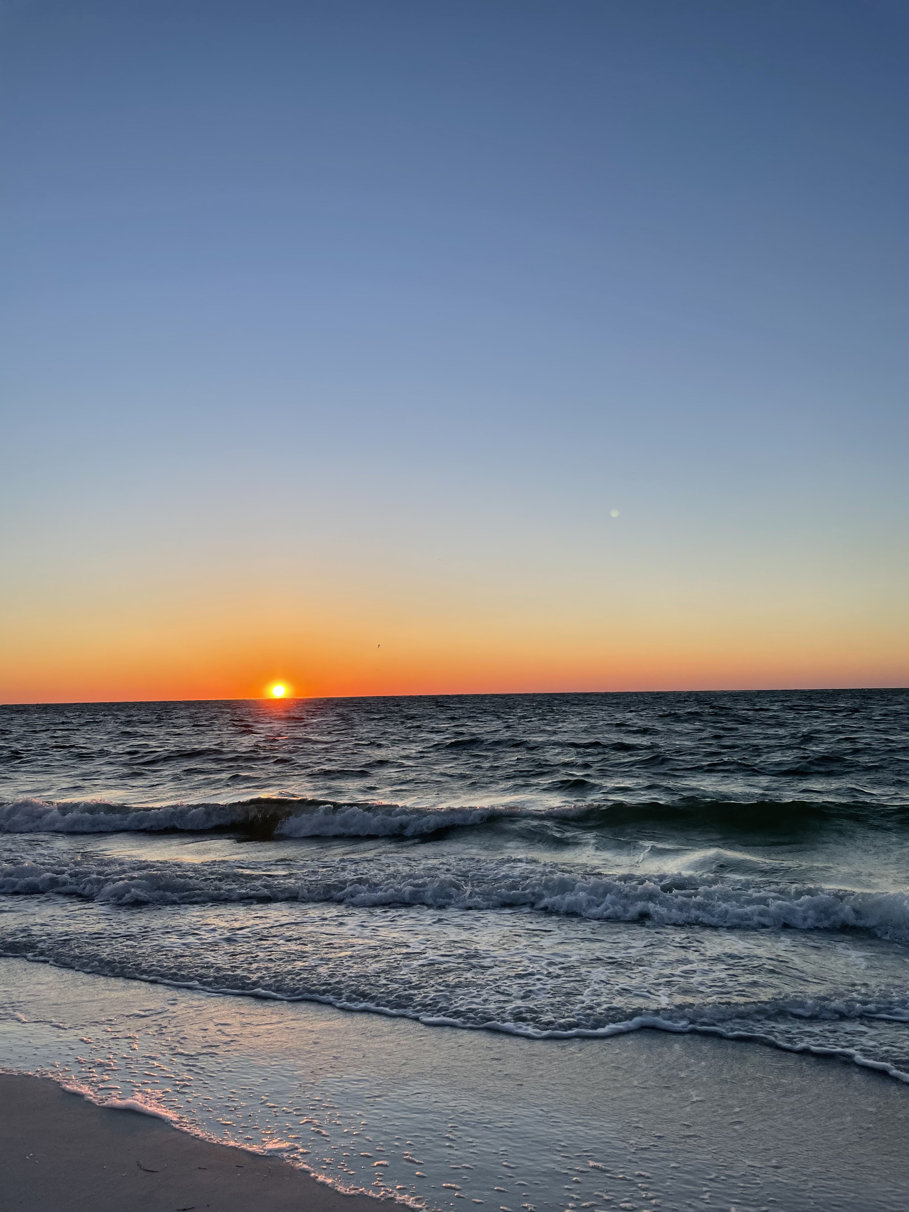 Gianna OnlyFans header