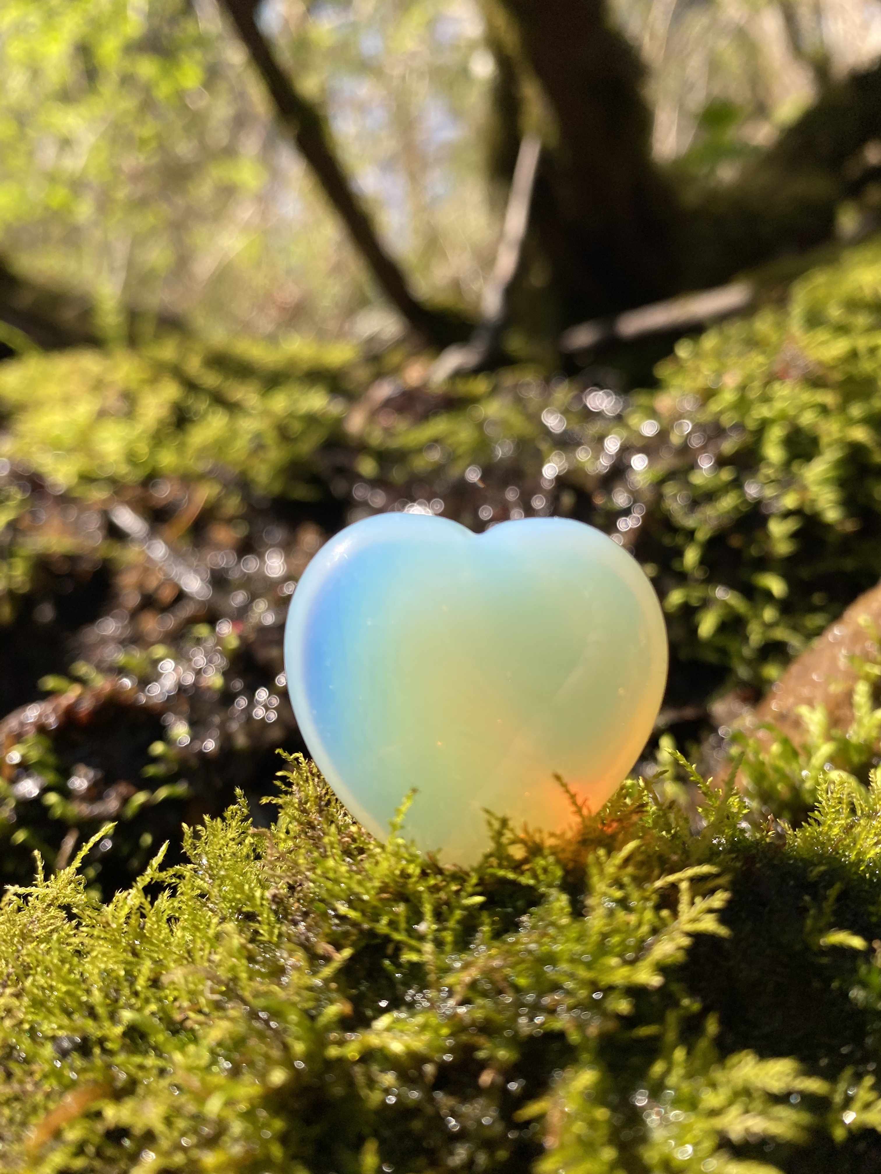 Deadly feet OnlyFans header