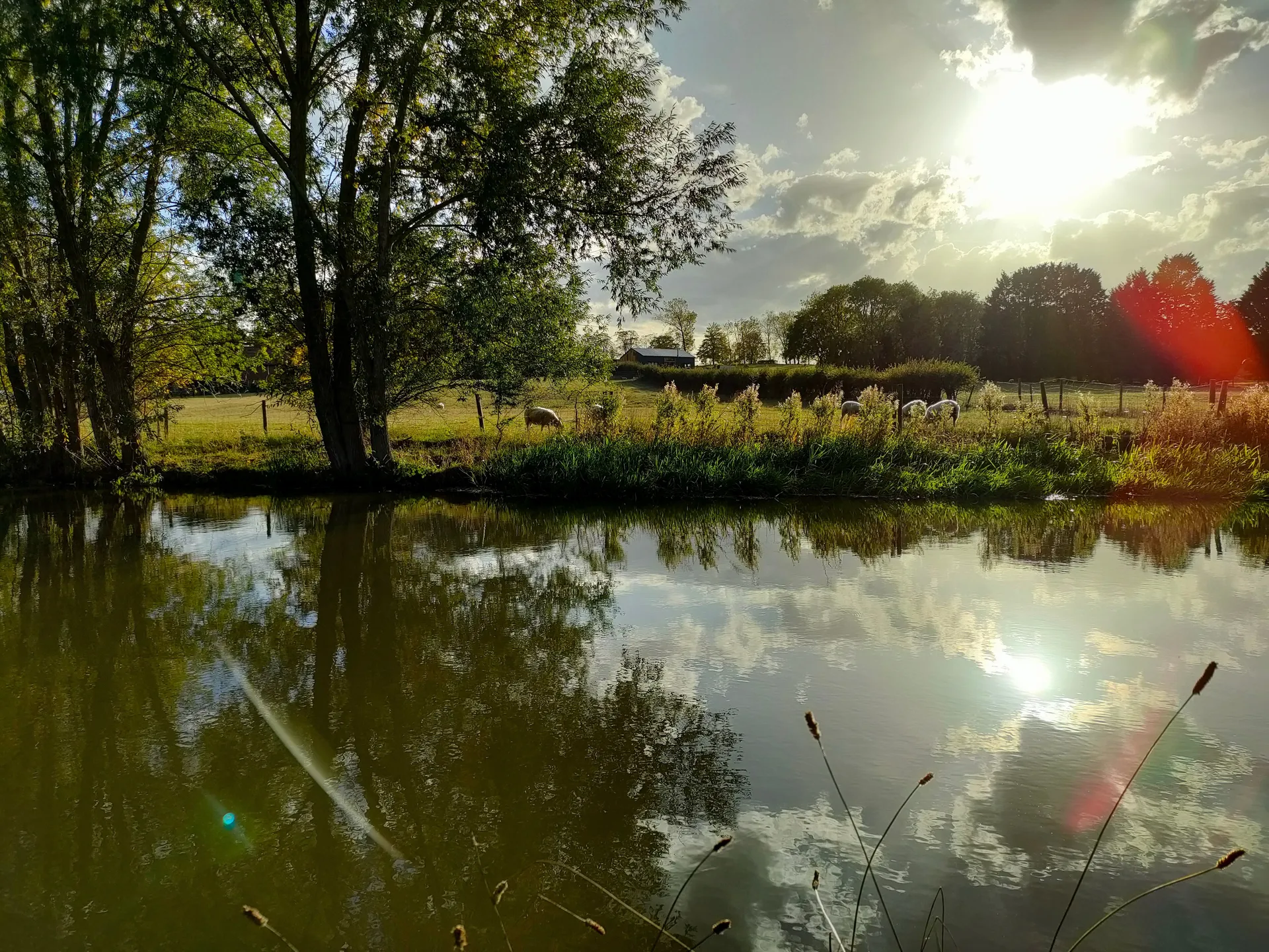 Aura OnlyFans header