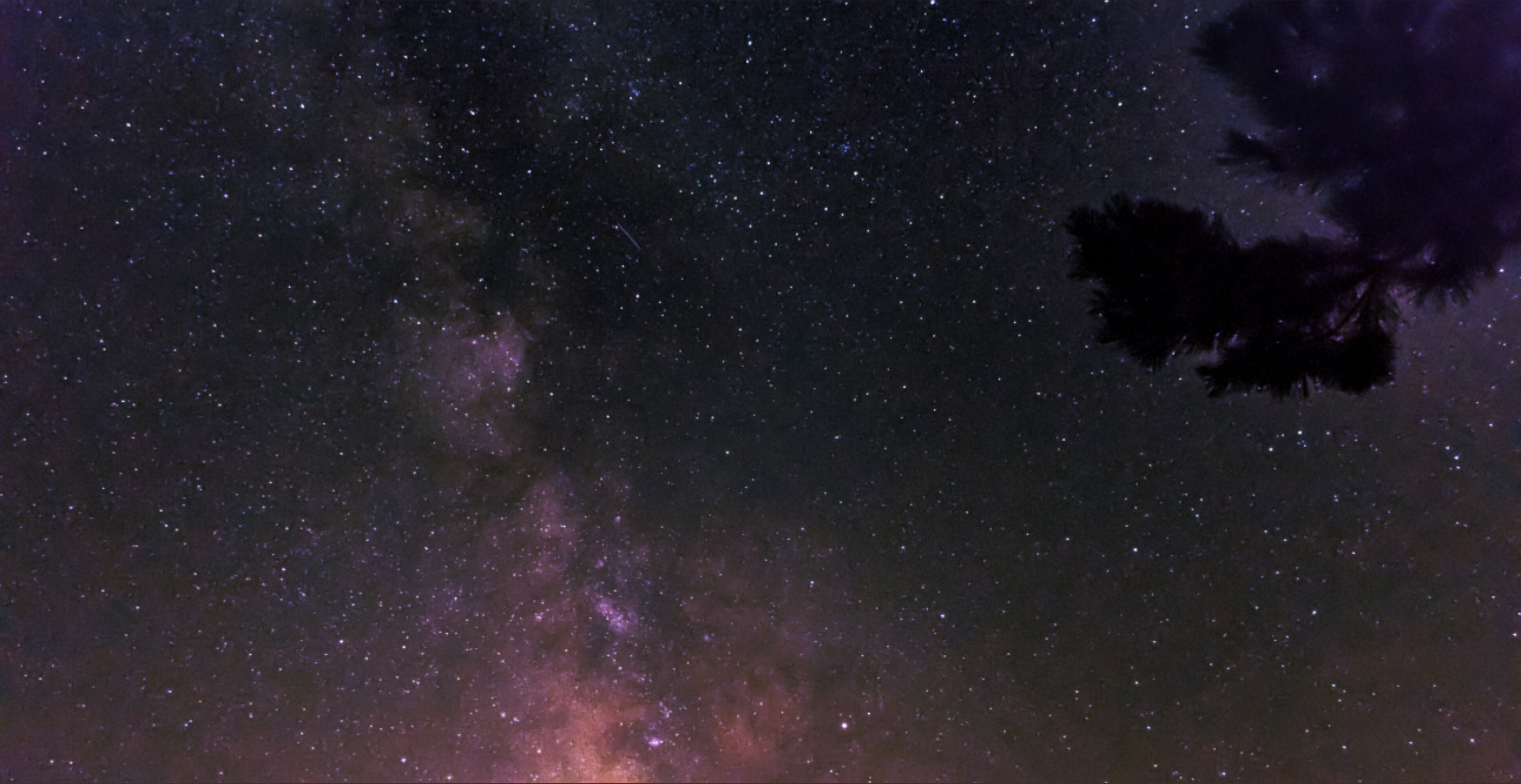 Aura Jelly OnlyFans header