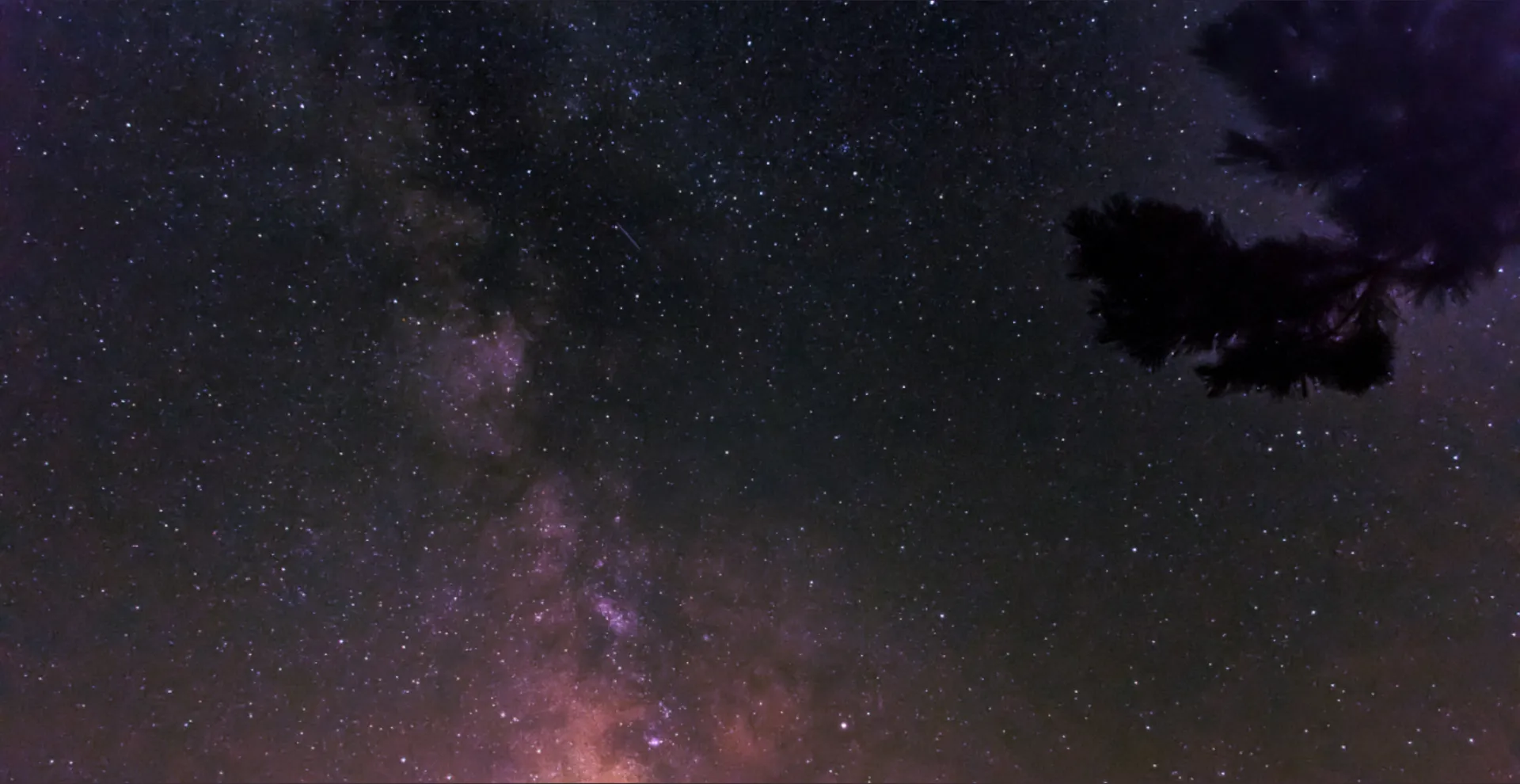 Aura Jelly OnlyFans header