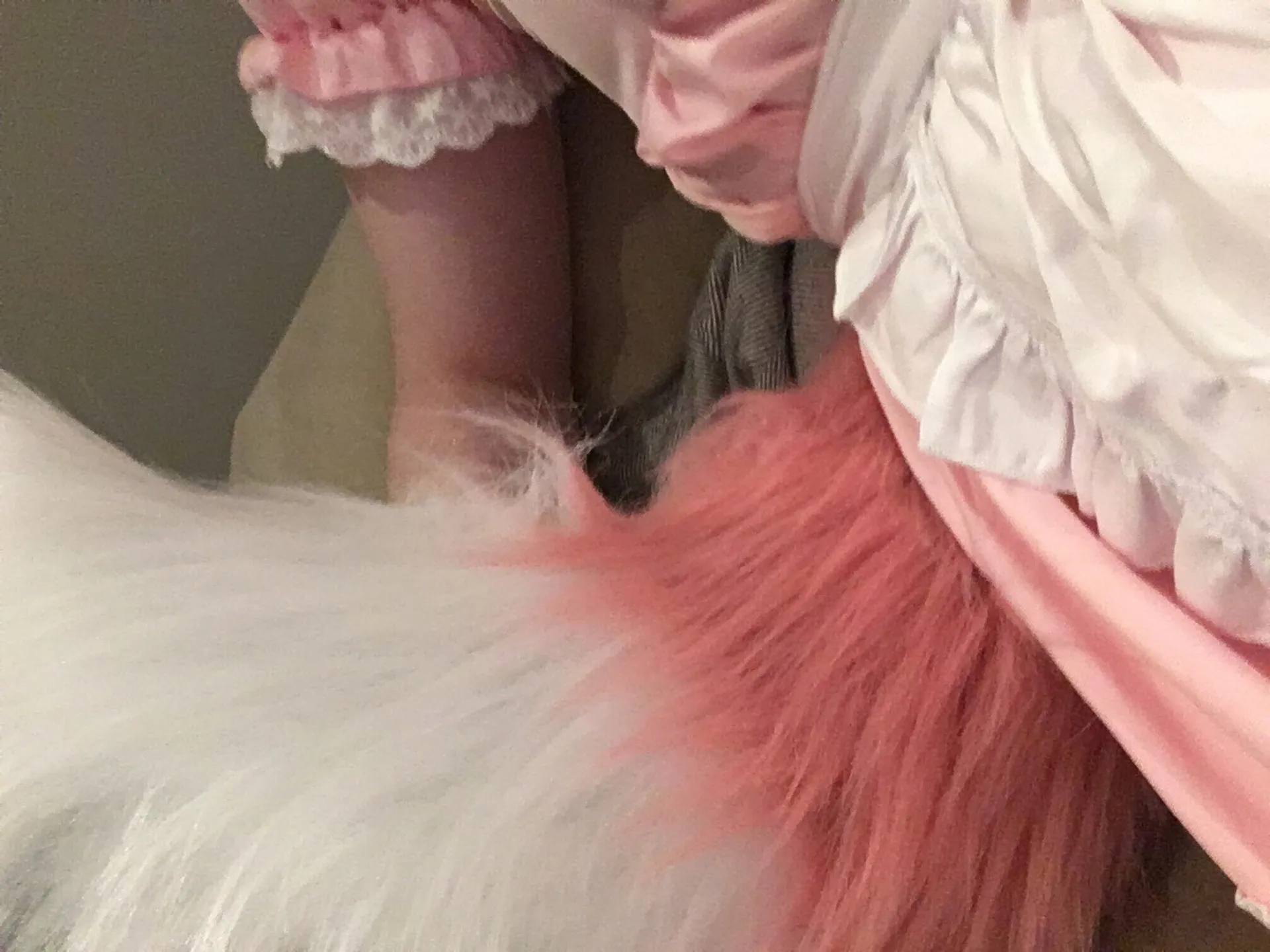 Aurakitten OnlyFans header