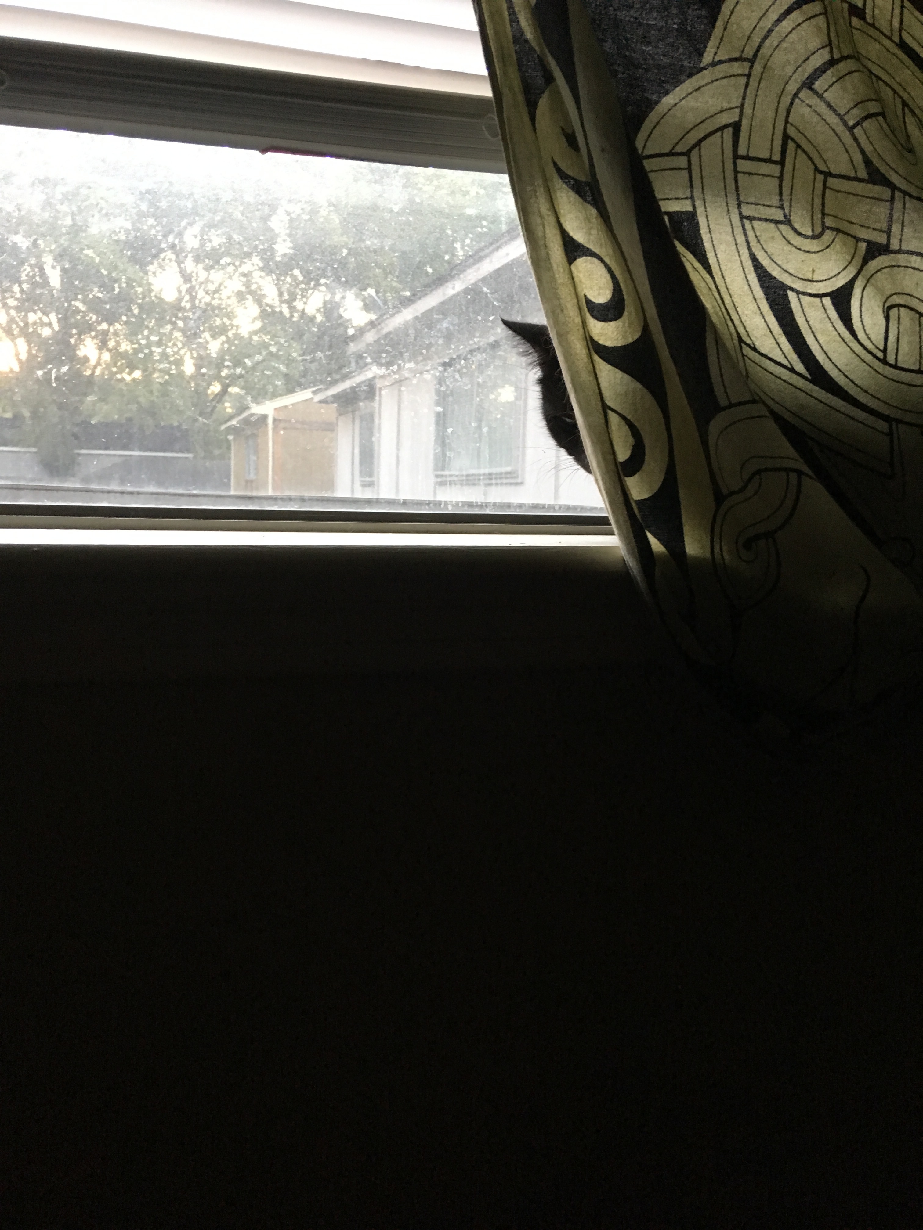 Journey James OnlyFans header