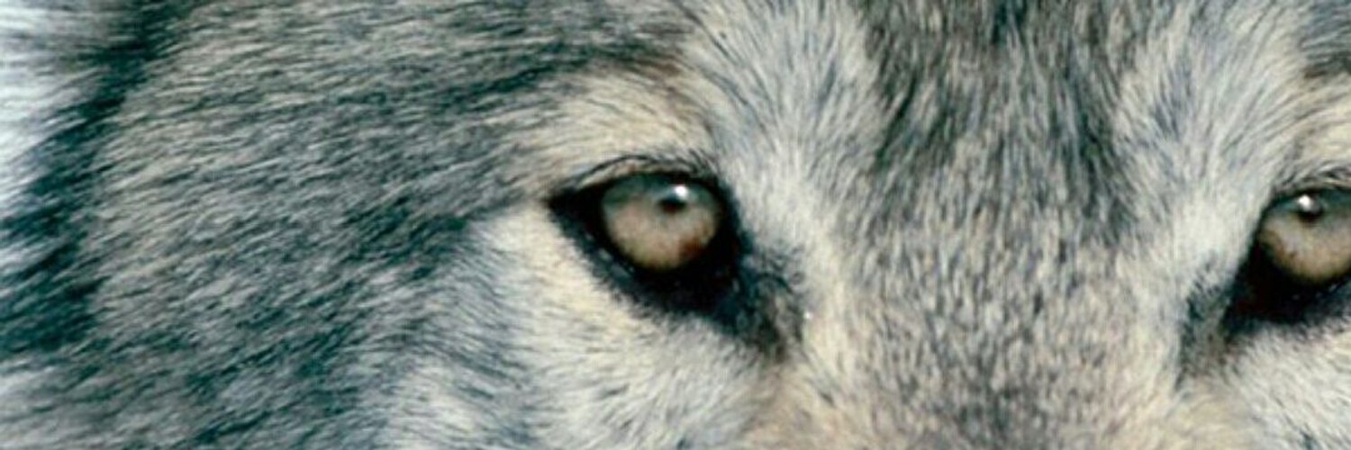 Aurarz OnlyFans header