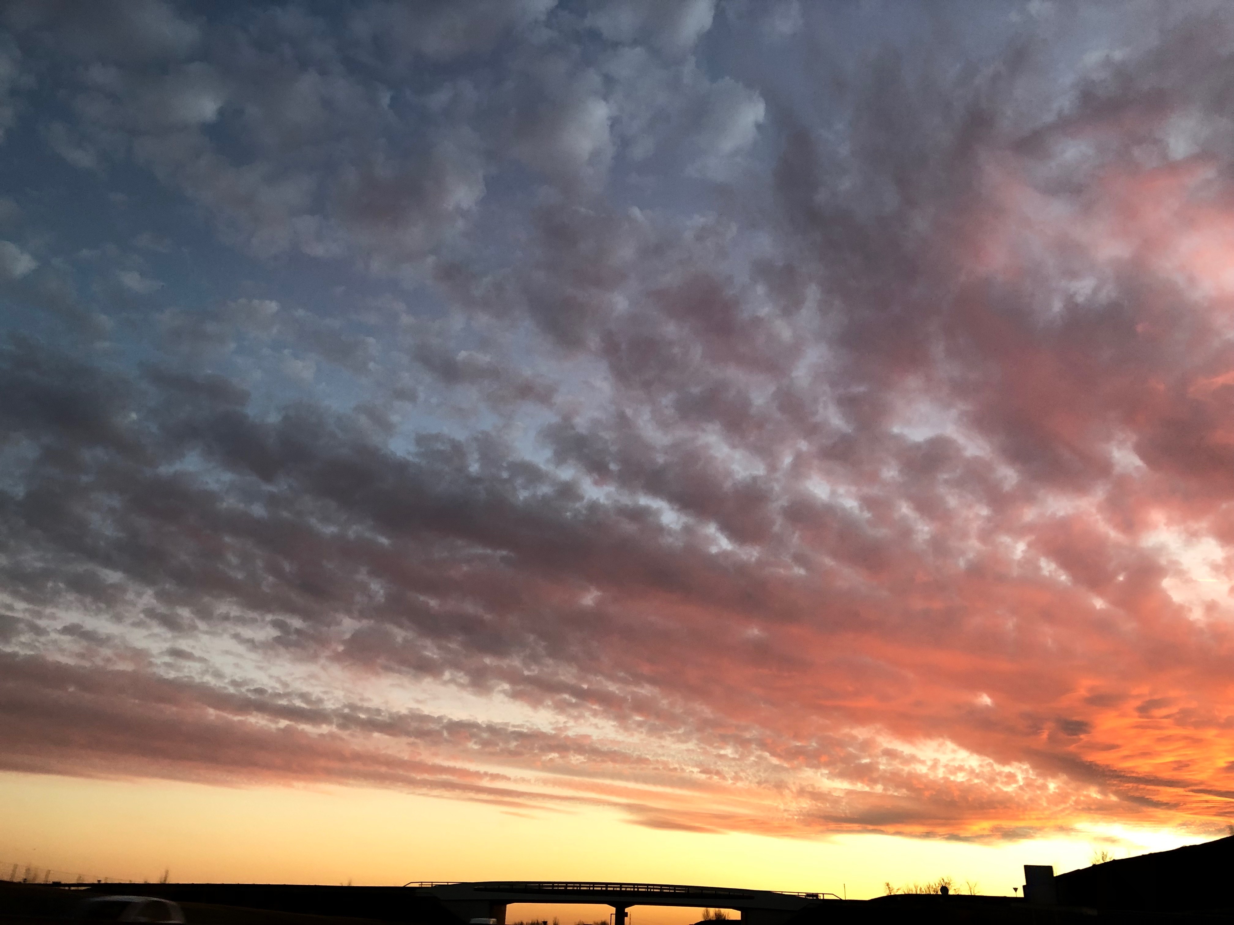 Aurelia OnlyFans header