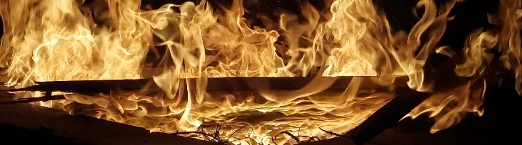 🦇𝓐𝓾𝓻𝓮𝓵𝓲𝓪 𝓑𝓾𝓷𝓷𝔂 🦇 OnlyFans header