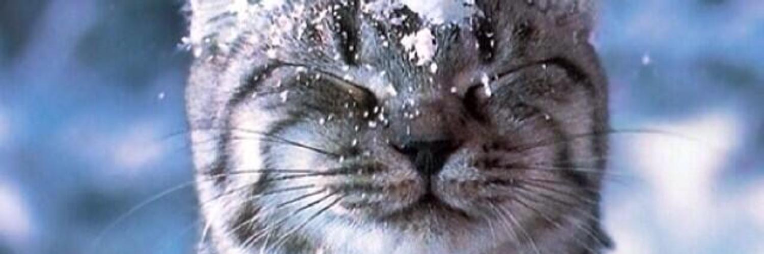 Pound Puppy Re OnlyFans header