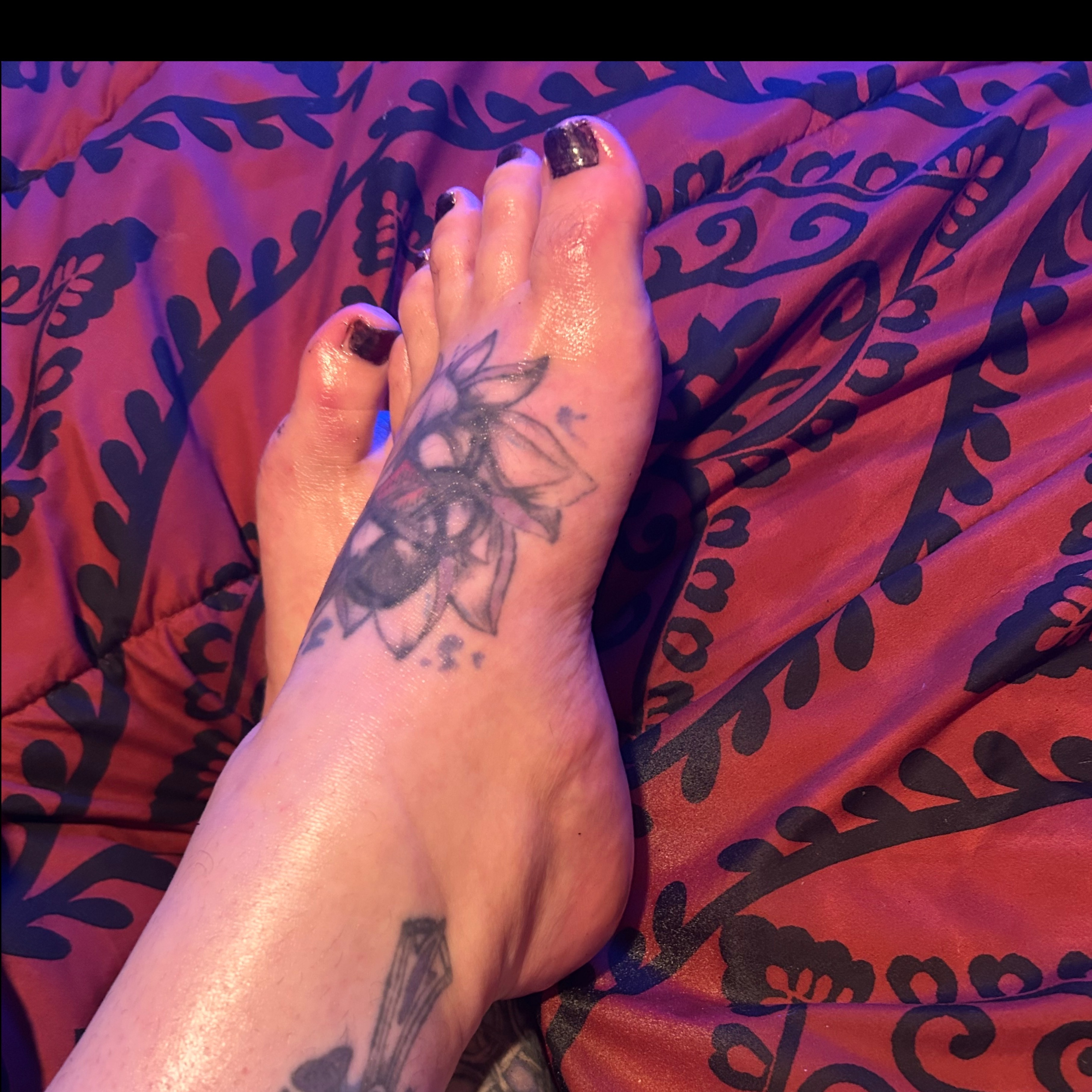 Aurene Lucia OnlyFans header