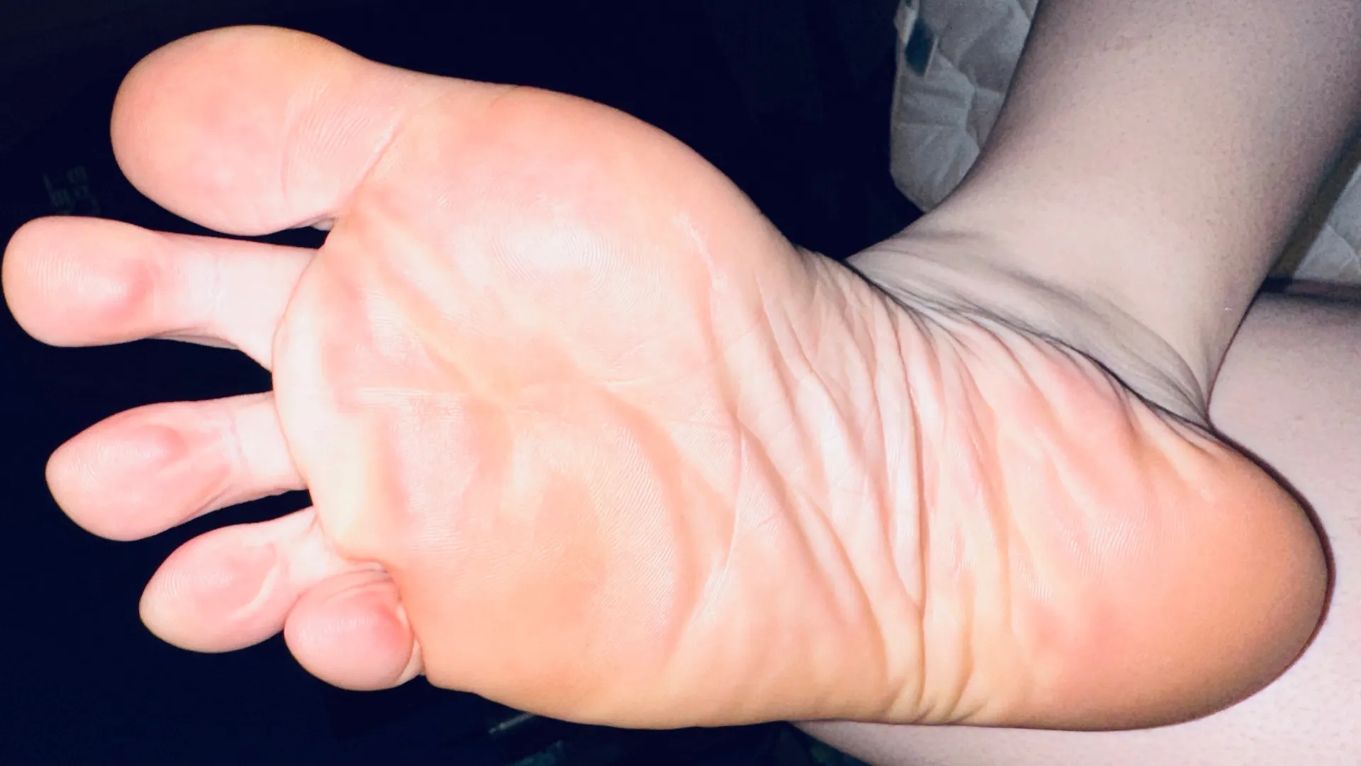 AuriPaws OnlyFans header