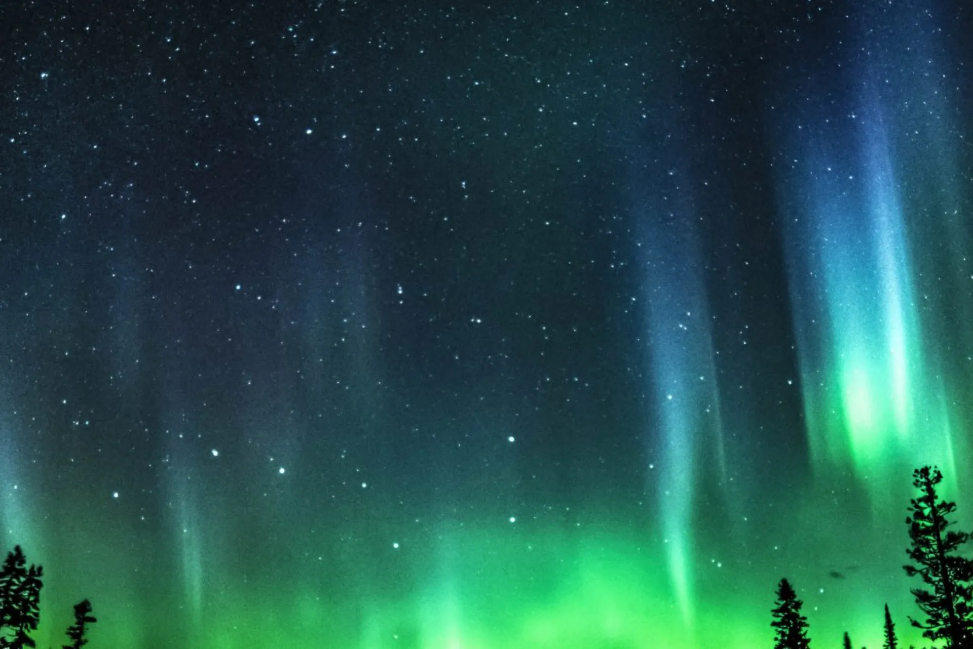 AuroraBlissXo OnlyFans header