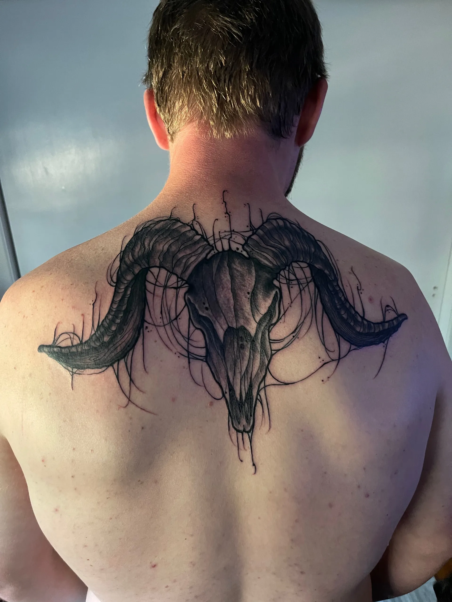 Borealis OnlyFans header