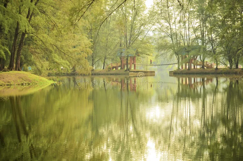 Aurora Fae OnlyFans header