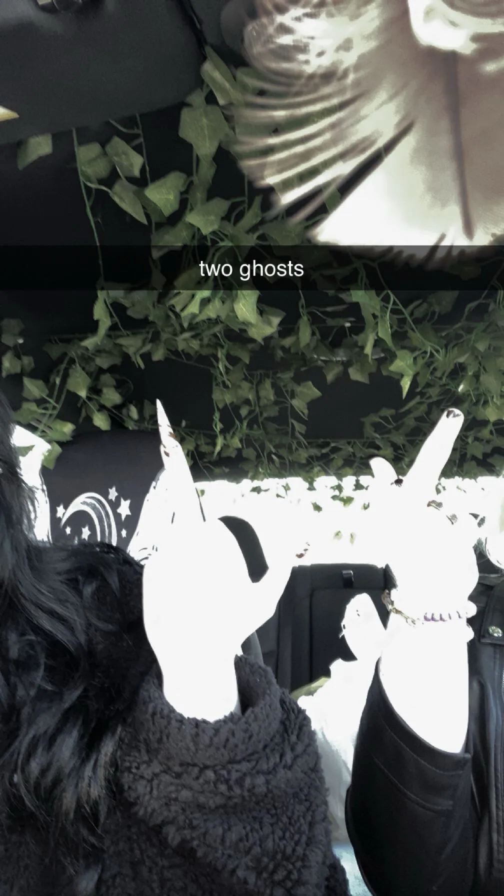 Aurora Glass OnlyFans header