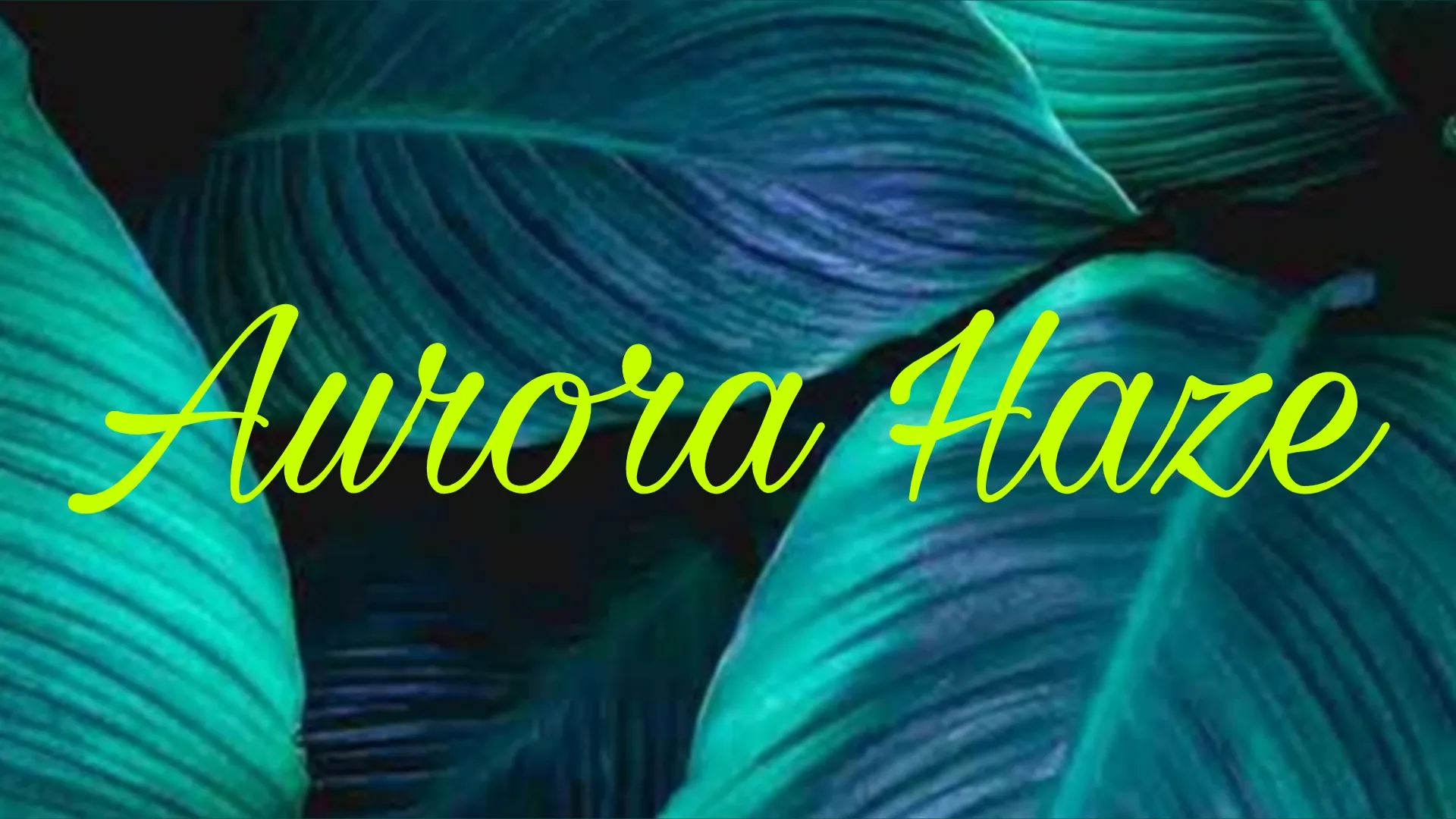 Aurora Haze OnlyFans header