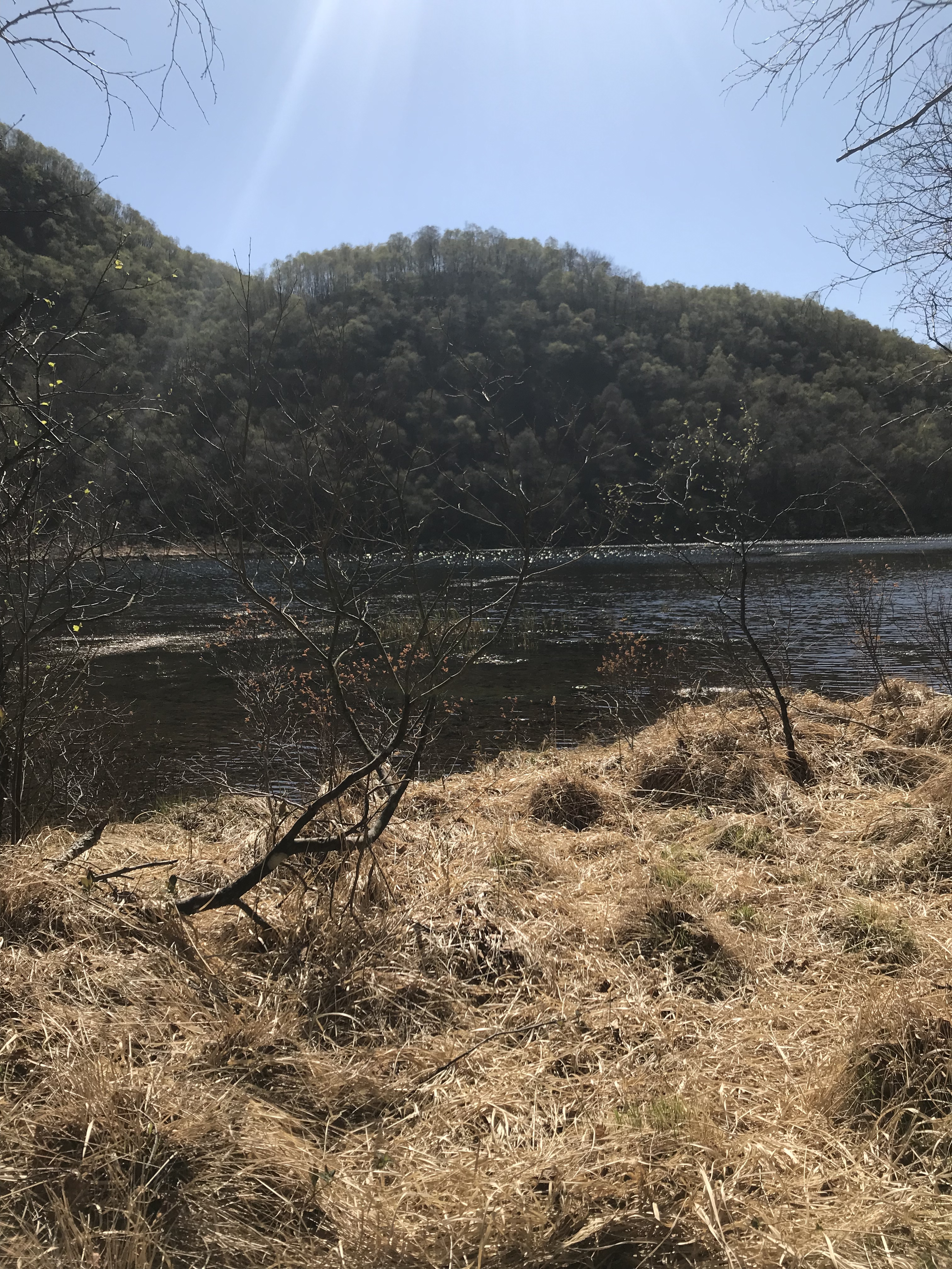 Aurora LeStrange✨ OnlyFans header