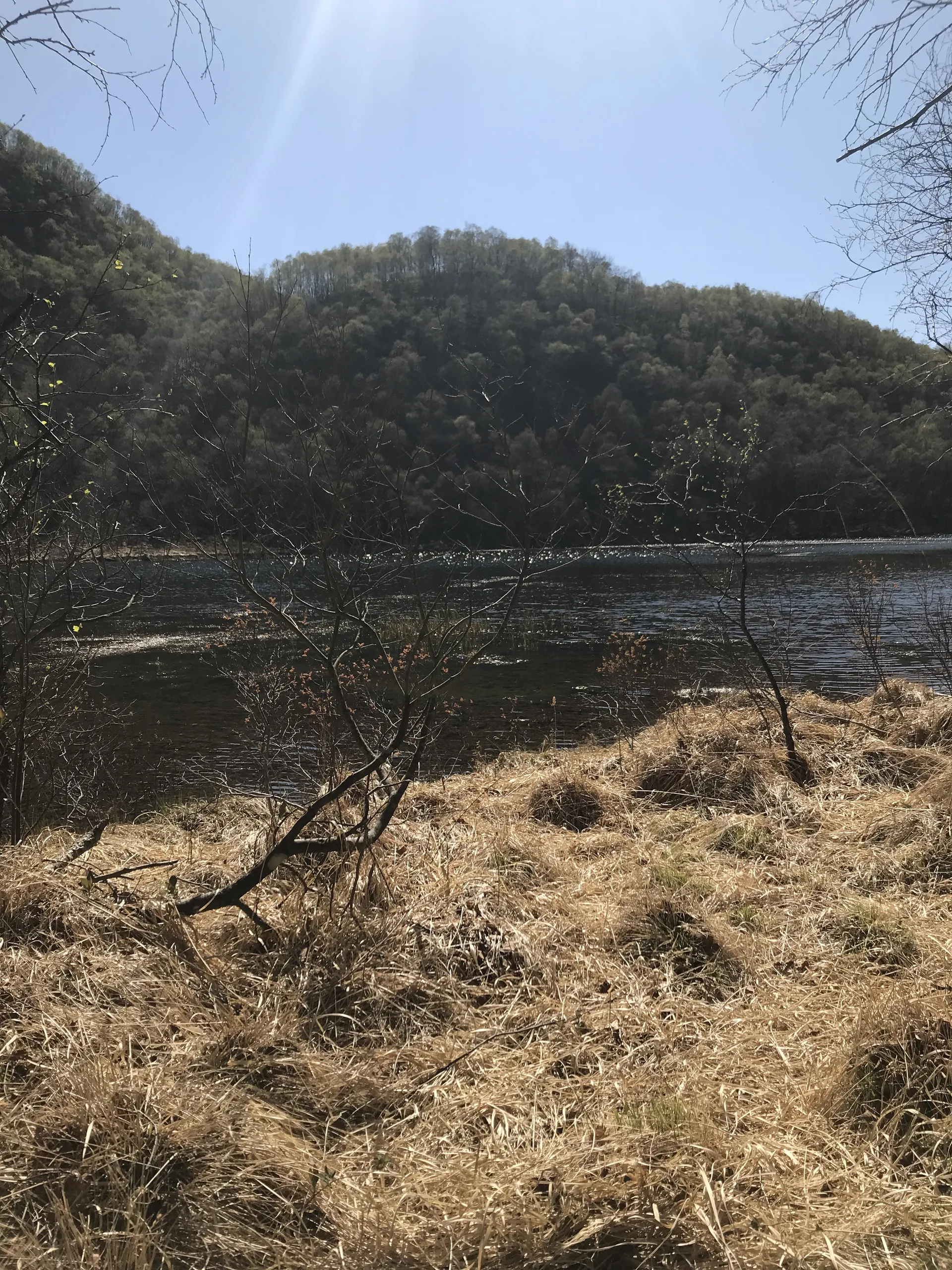 Aurora LeStrange✨ OnlyFans header