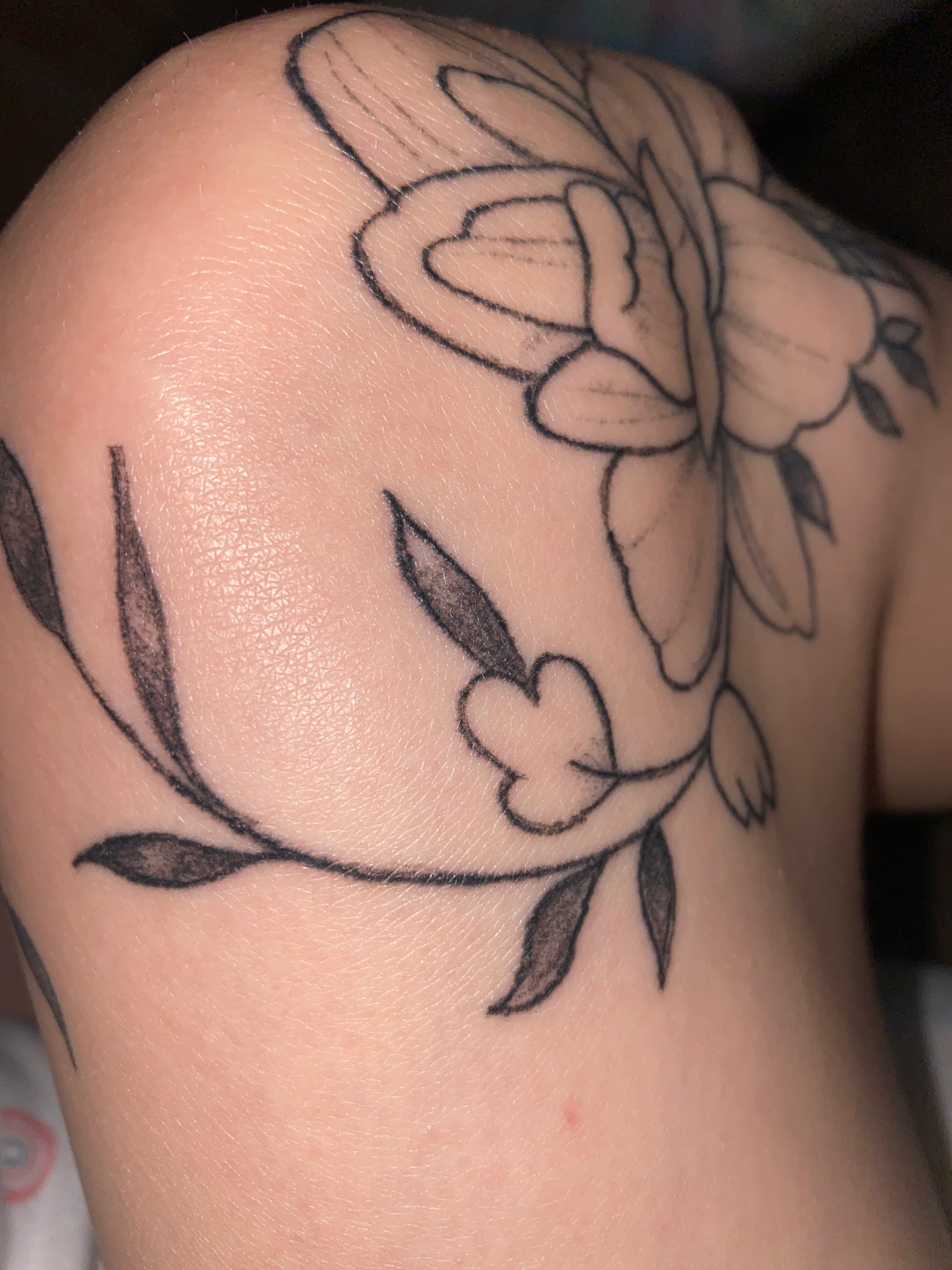 Aurora OnlyFans header