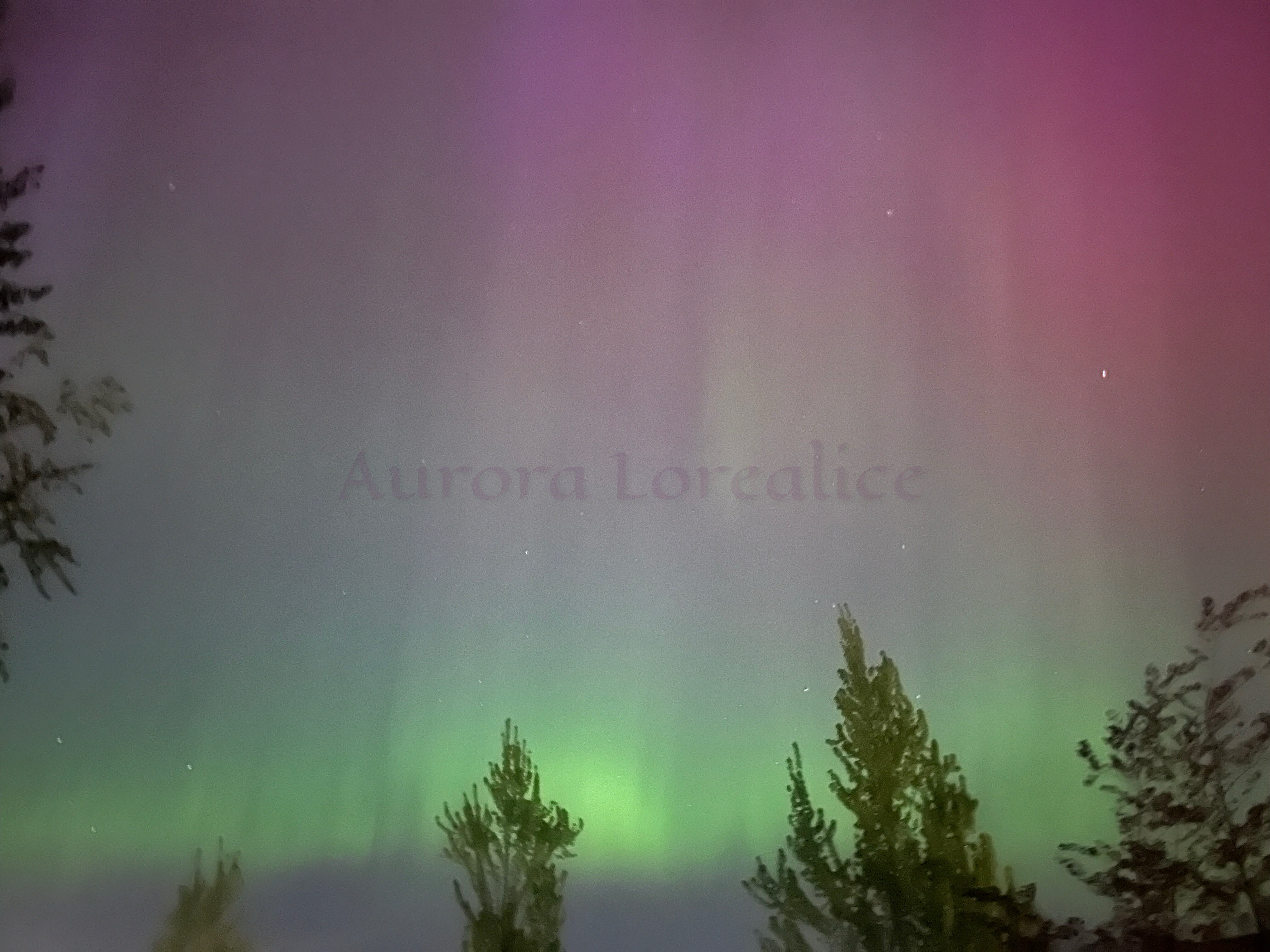 Aurora Lorealice OnlyFans header
