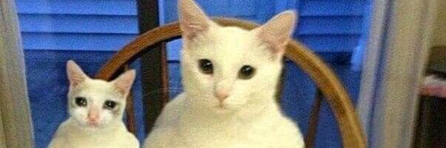 u99022904 OnlyFans header