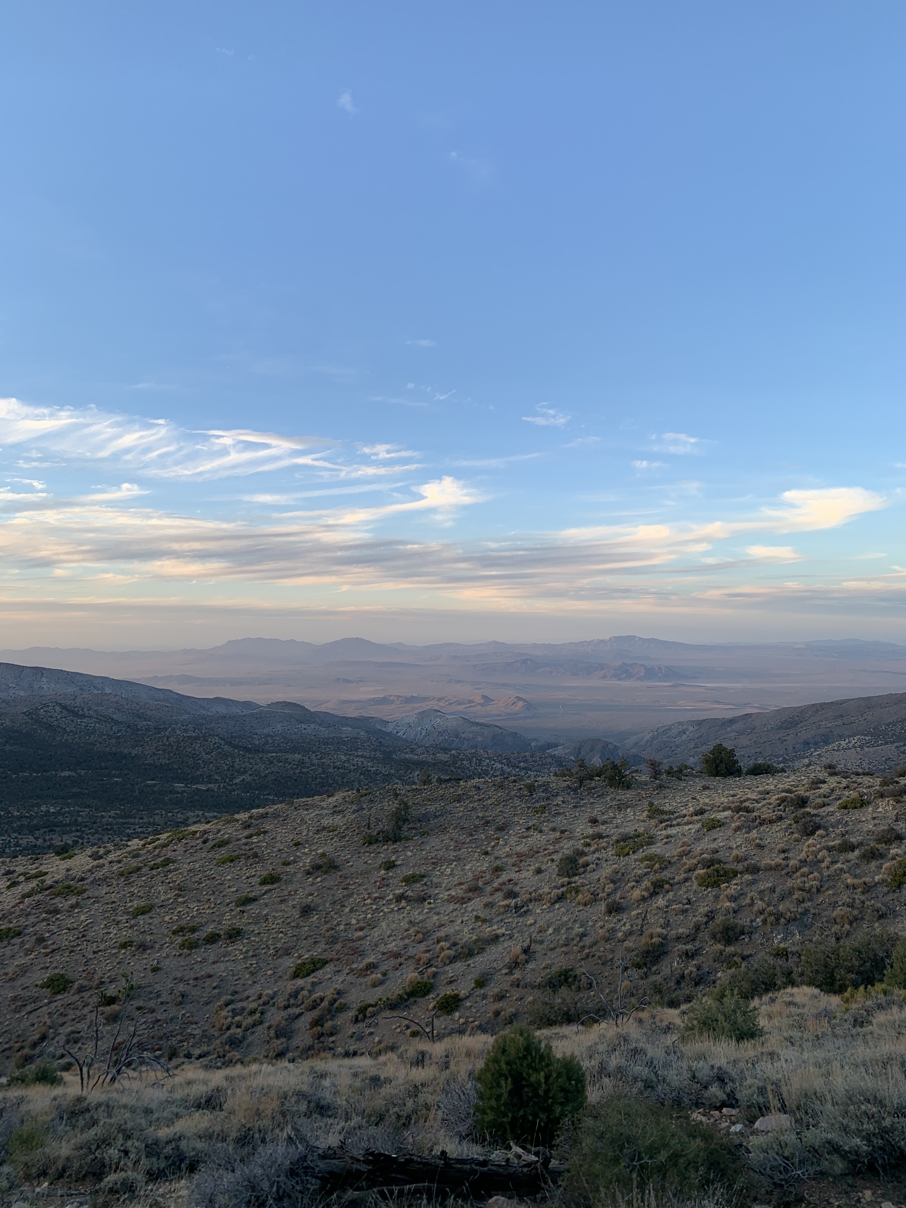 auroramooon OnlyFans header