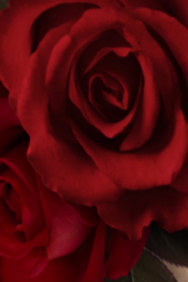 Aurora OnlyFans header