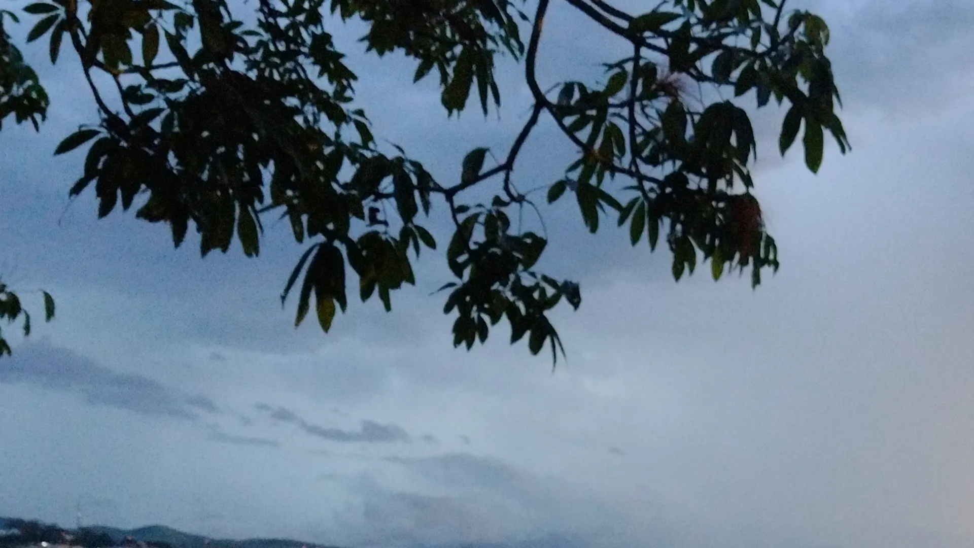 Aurora Santana OnlyFans header