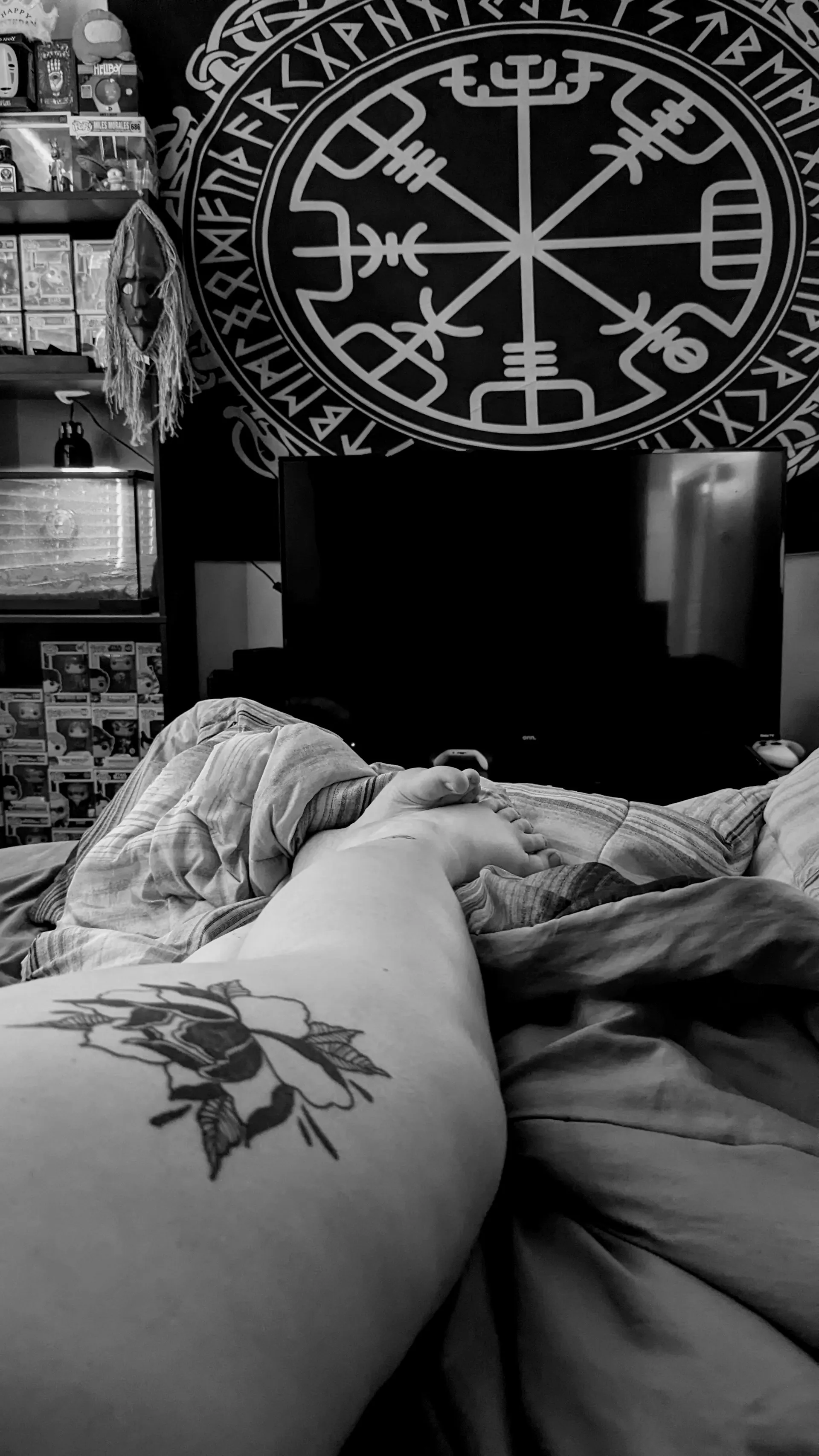 Aurora ✨Plus Size 👑 OnlyFans header