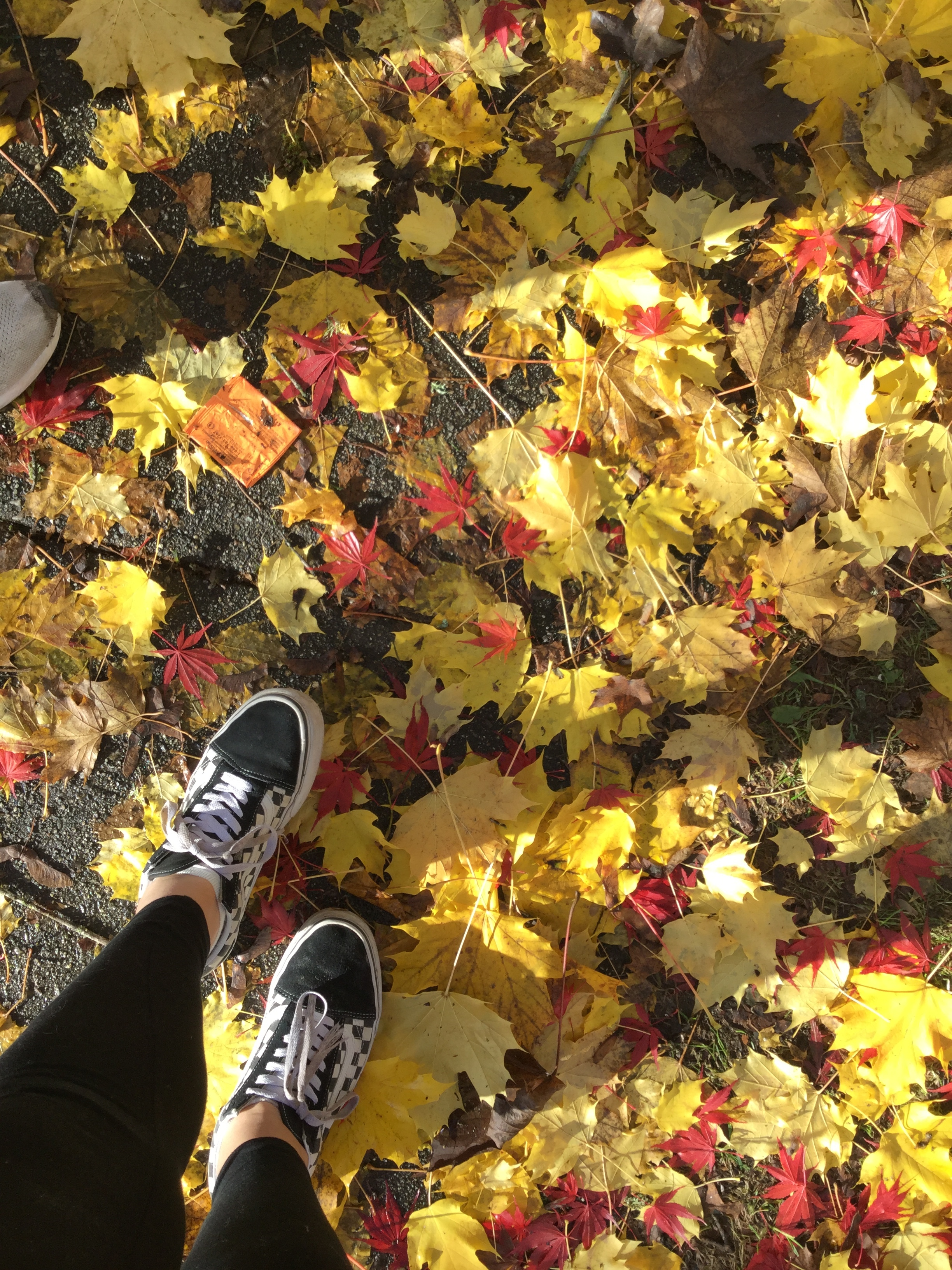 Aurora Sinclair OnlyFans header