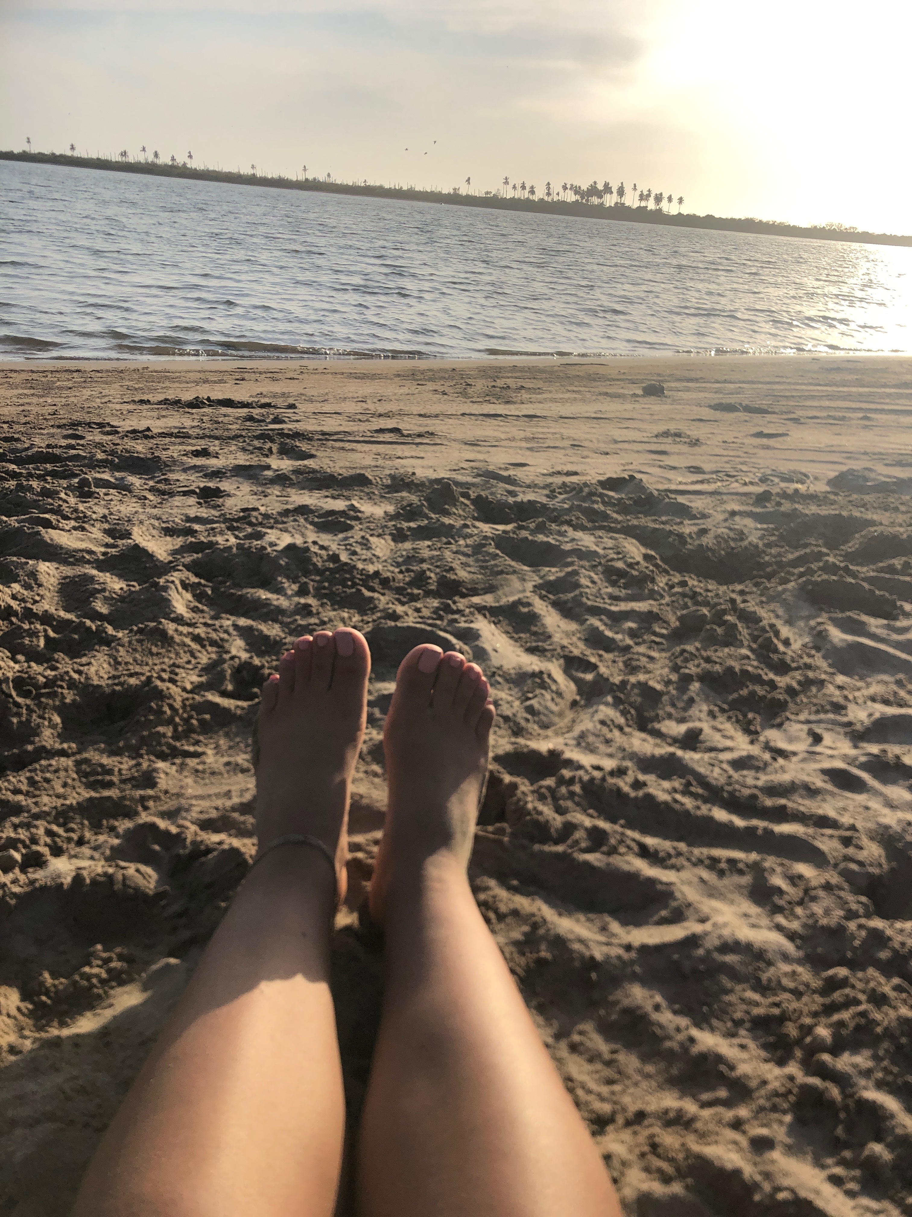 Aurora Vazquez OnlyFans header