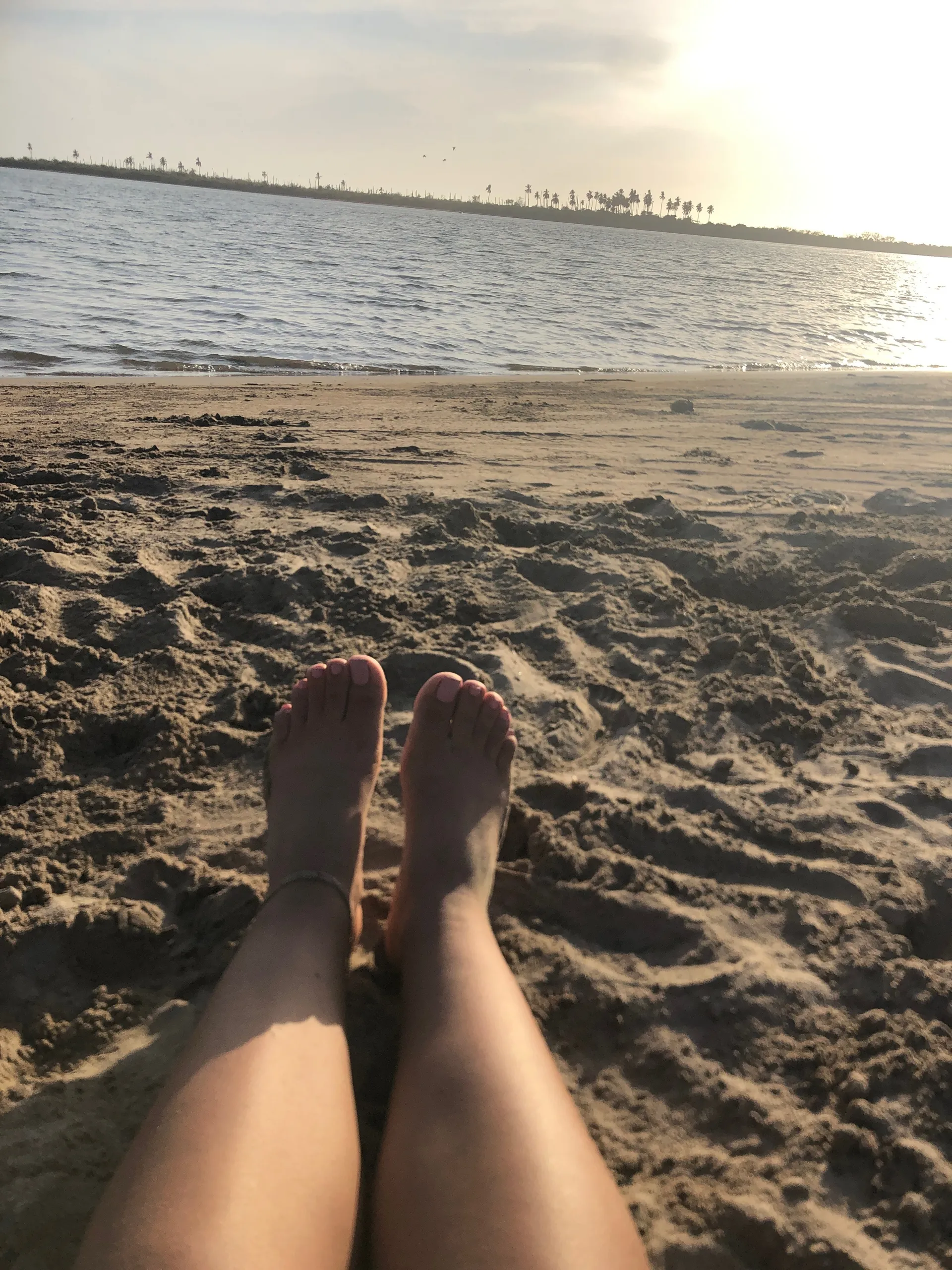 Aurora Vazquez OnlyFans header