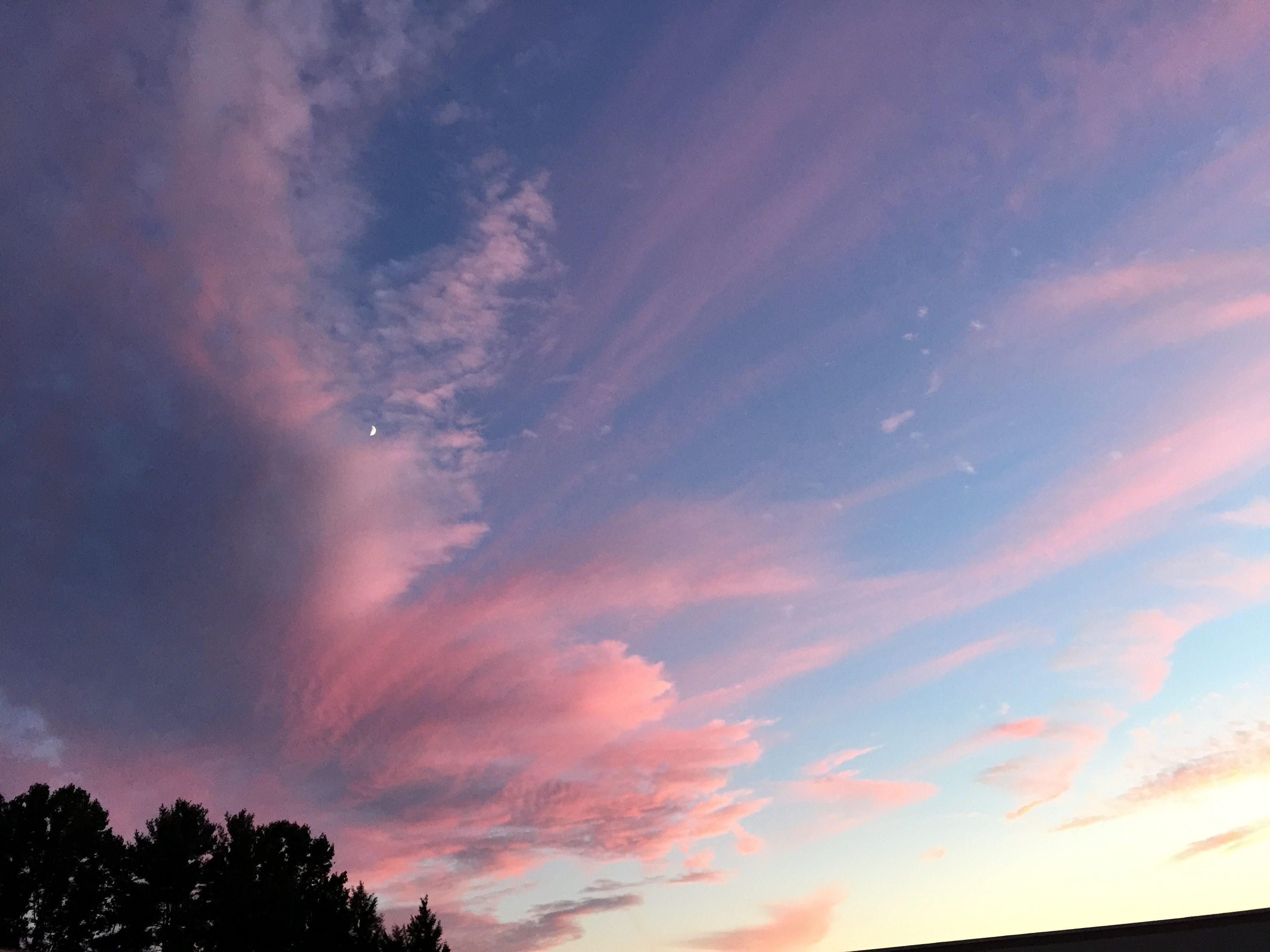 Aurora OnlyFans header