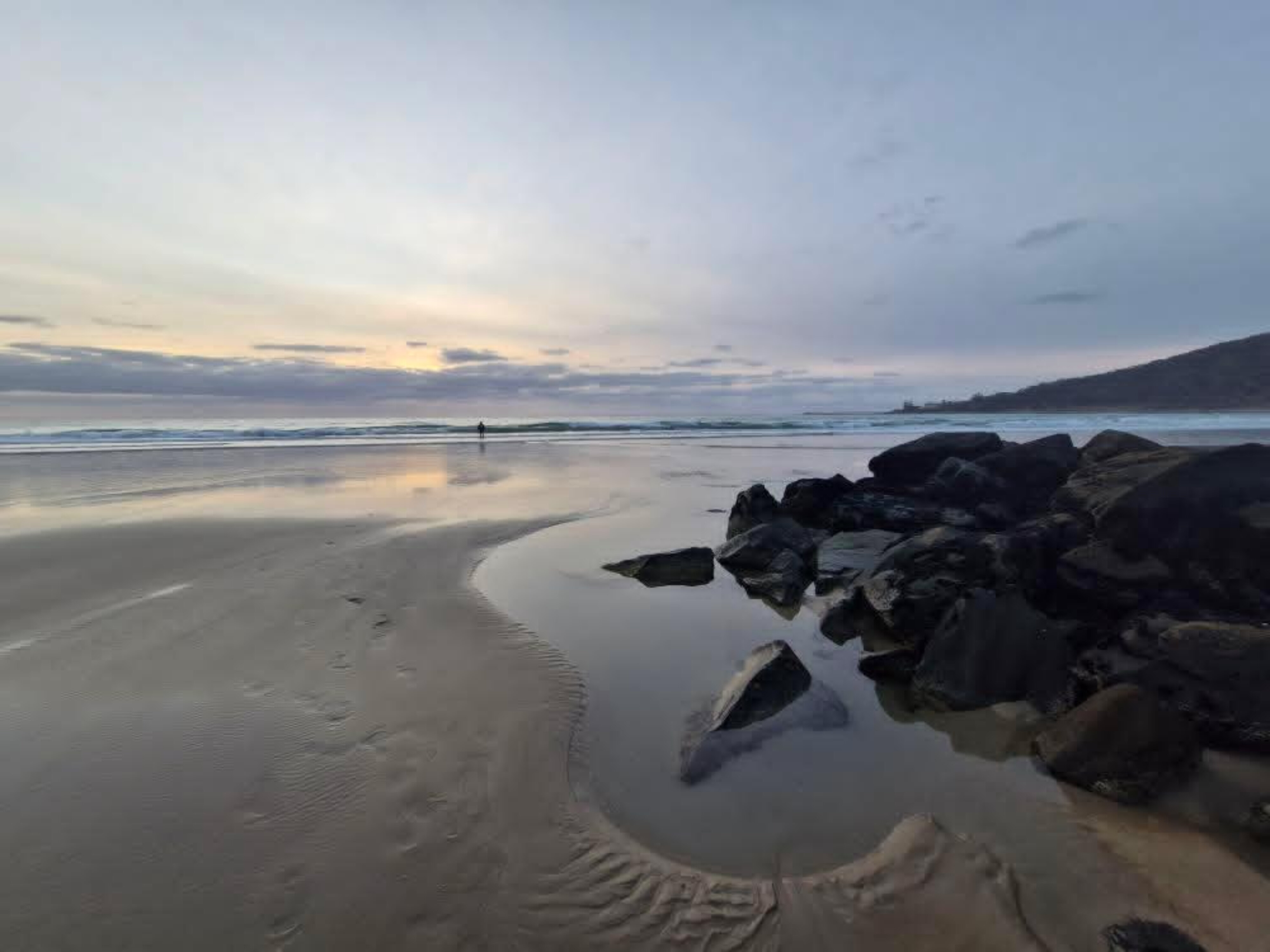 T-rex OnlyFans header