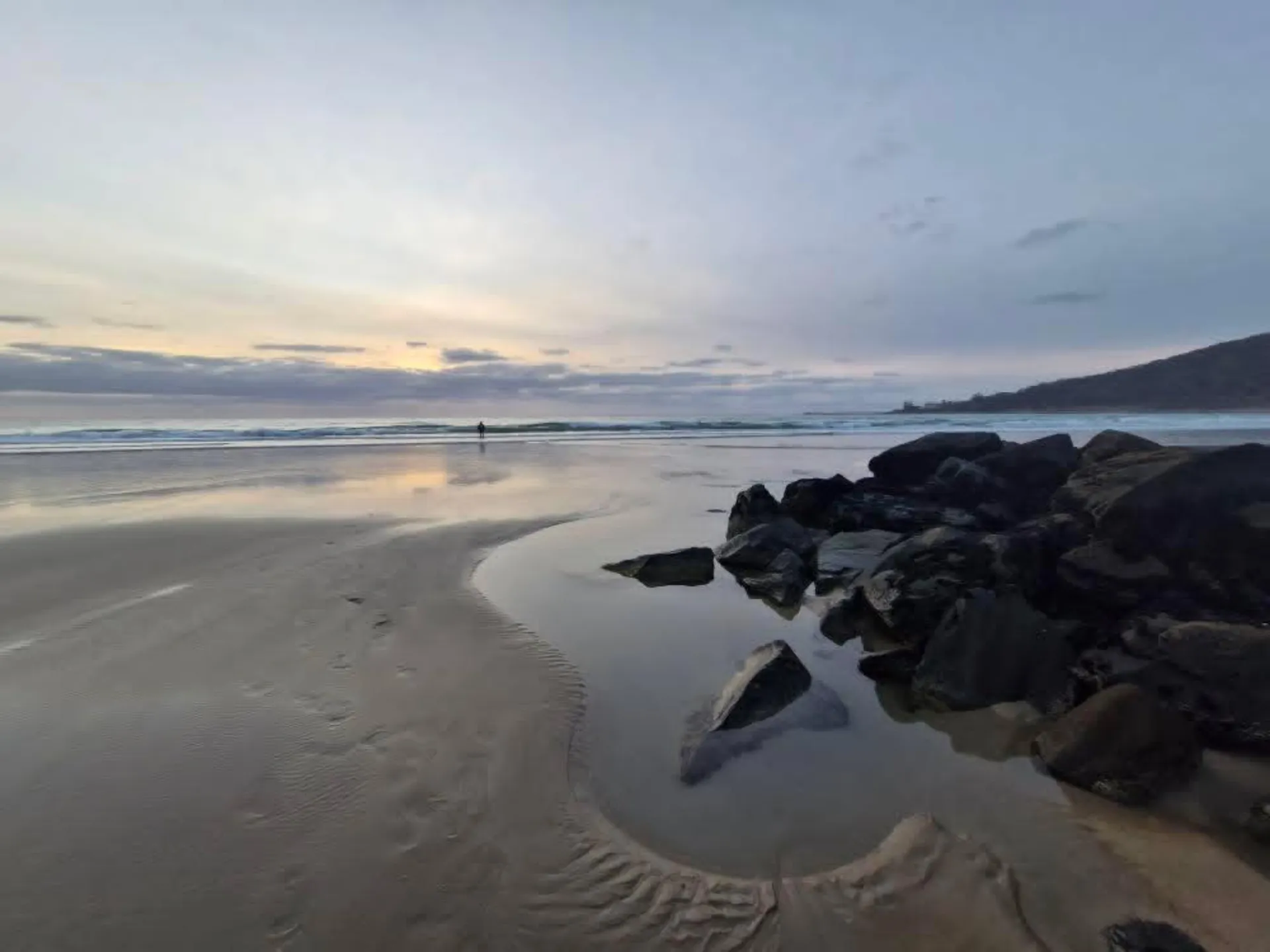 T-rex OnlyFans header