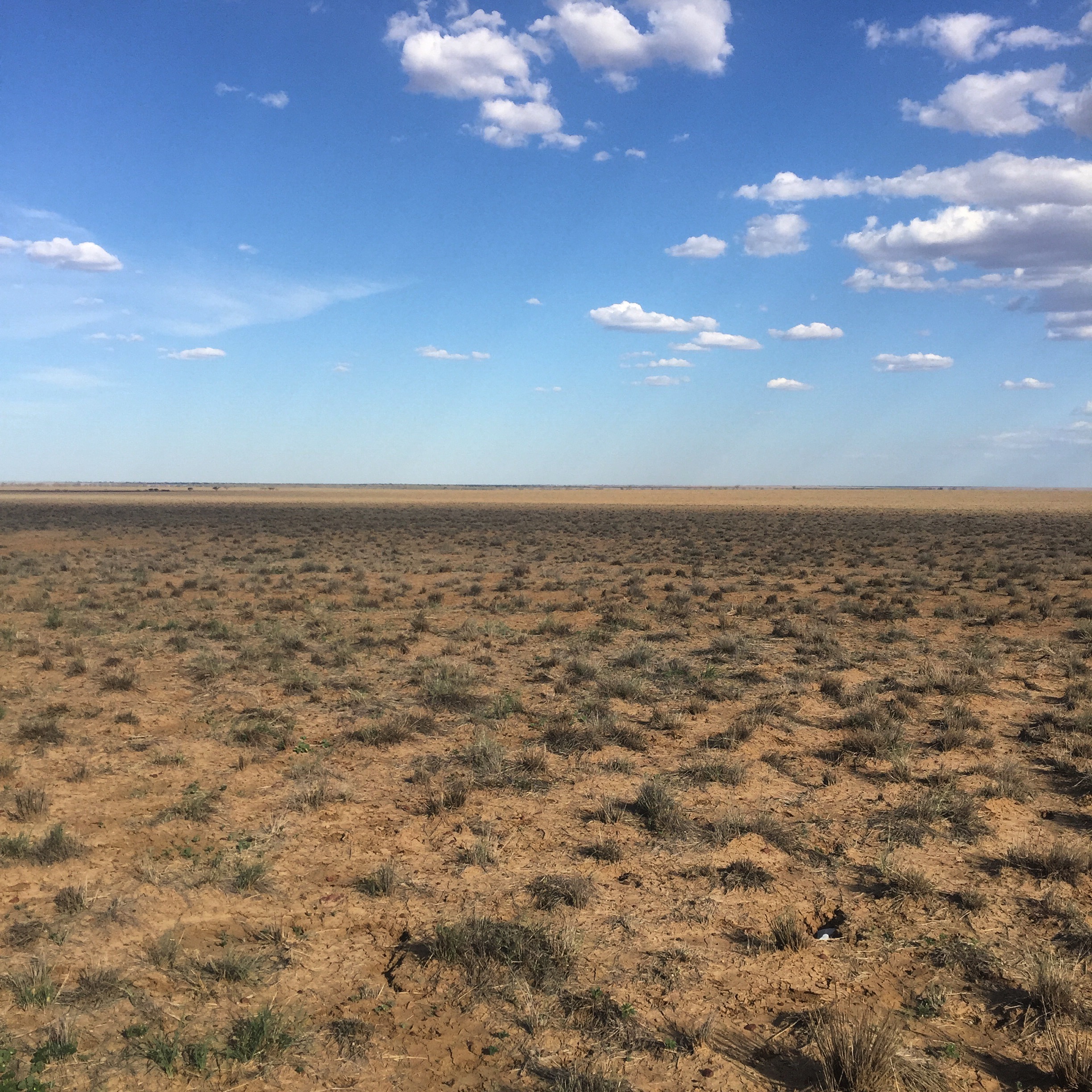 AusManFeet OnlyFans header