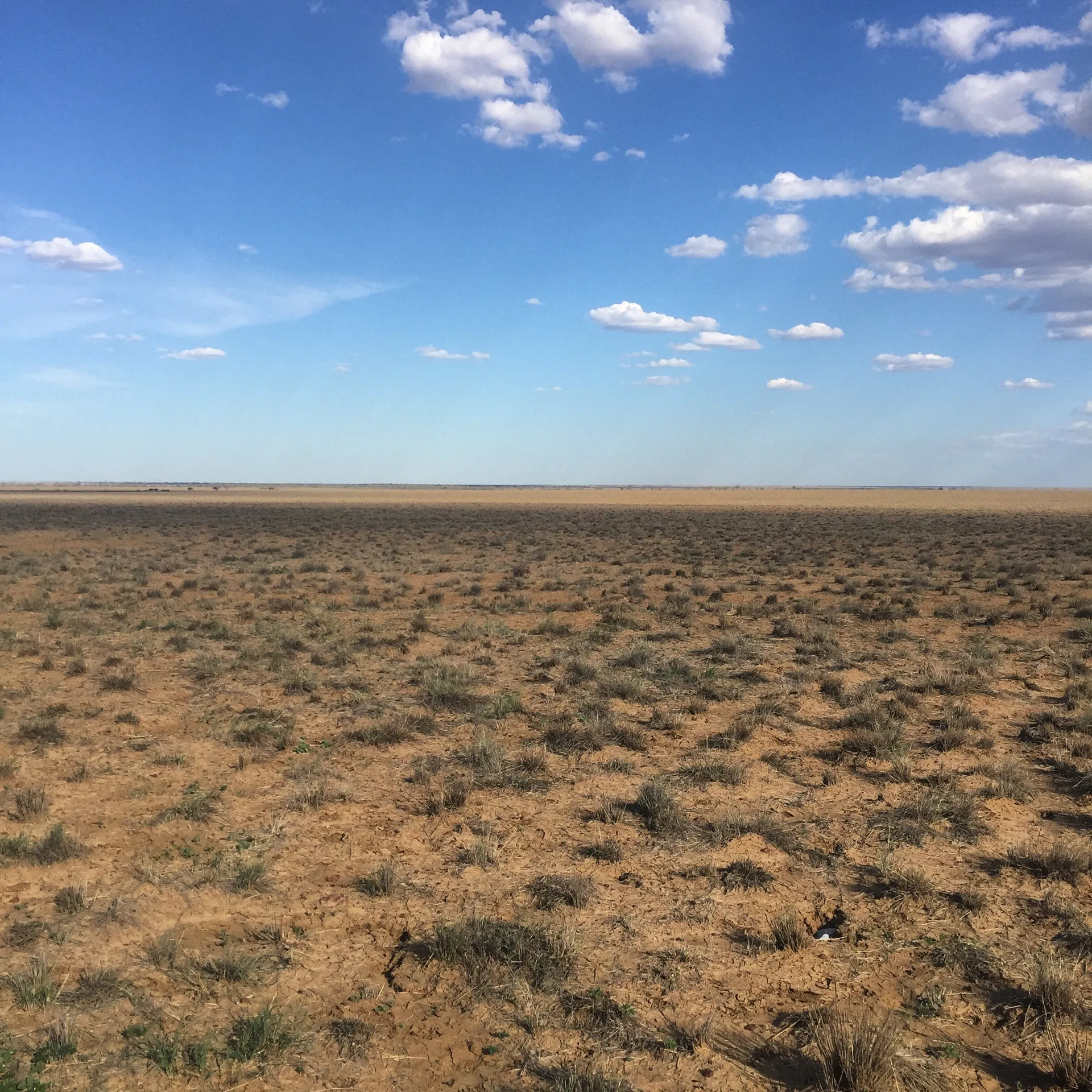 AusManFeet OnlyFans header