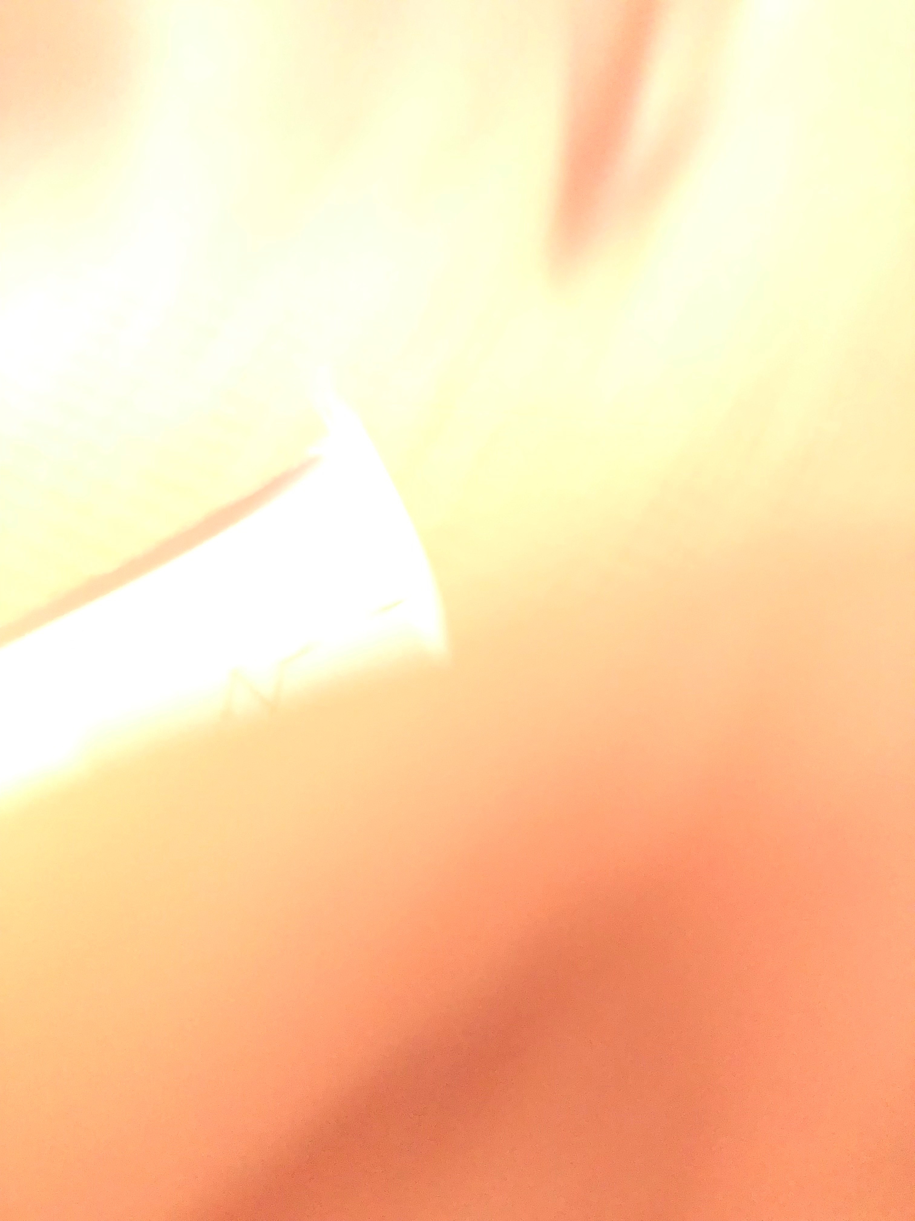 Aussie OnlyFans header