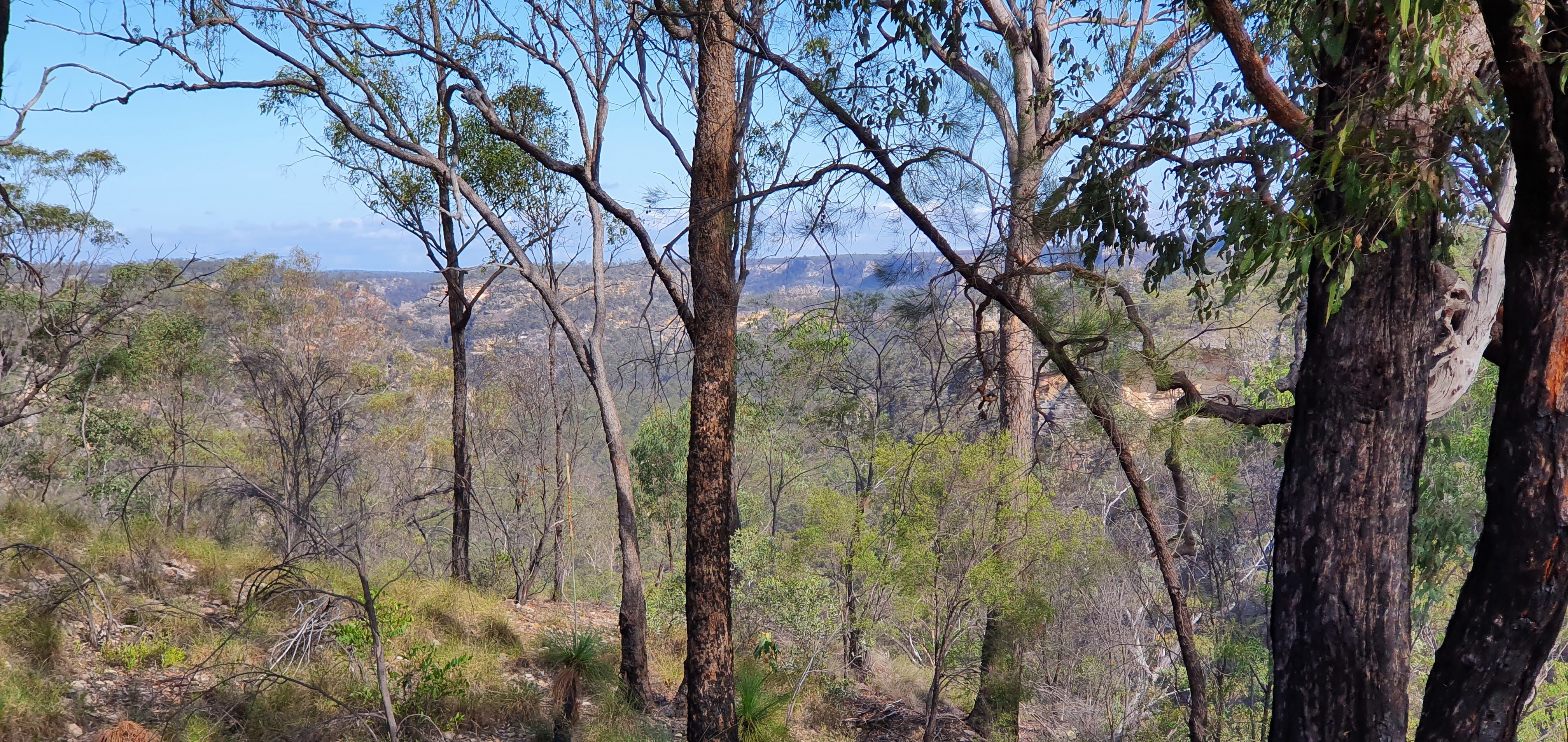 AussieAndy101 OnlyFans header