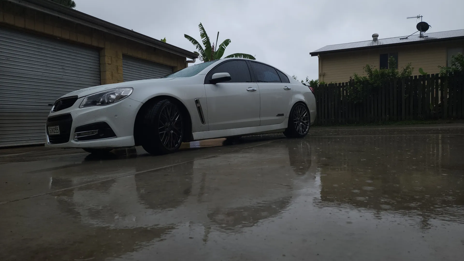 Dale OnlyFans header