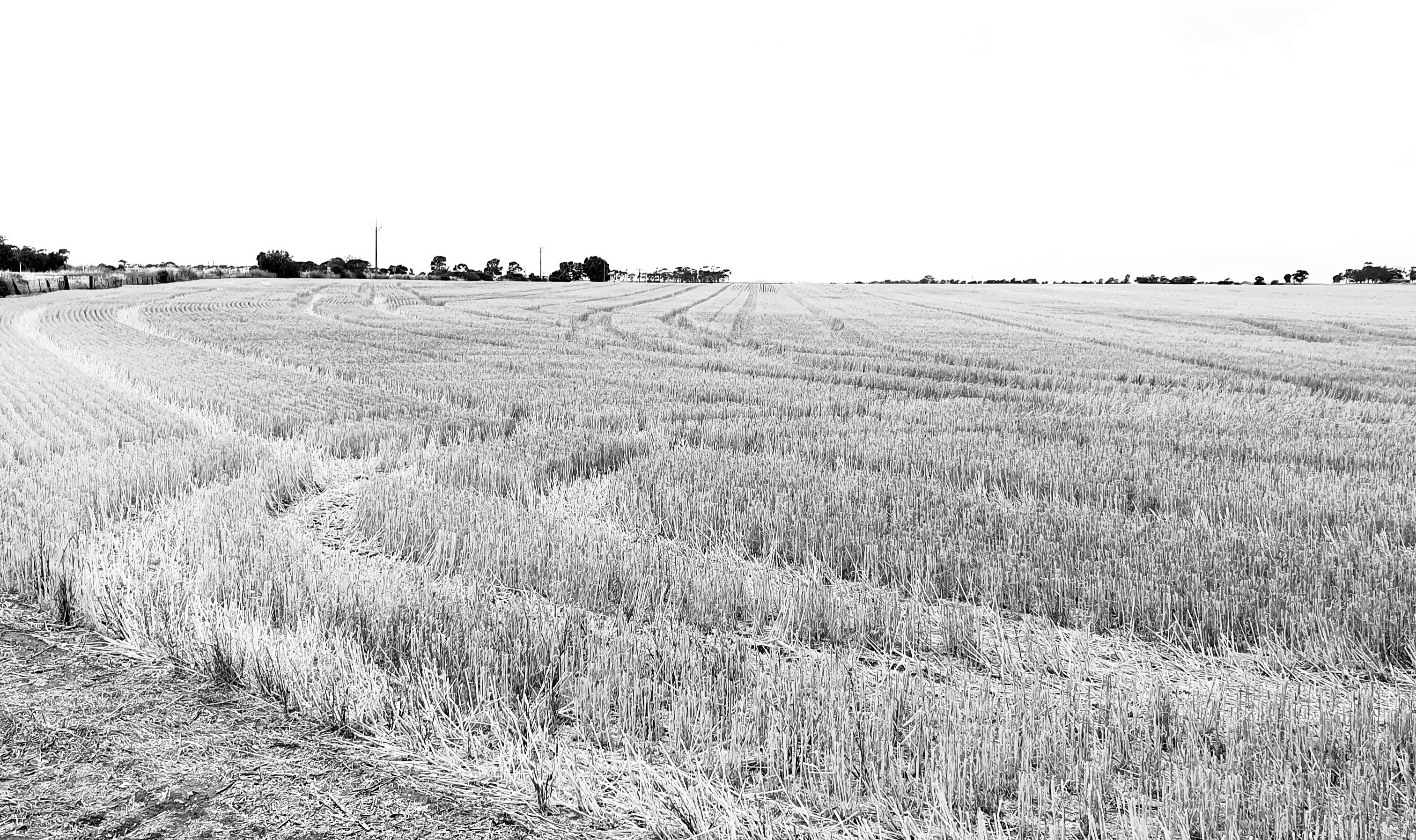 Aussie Country Bloke OnlyFans header