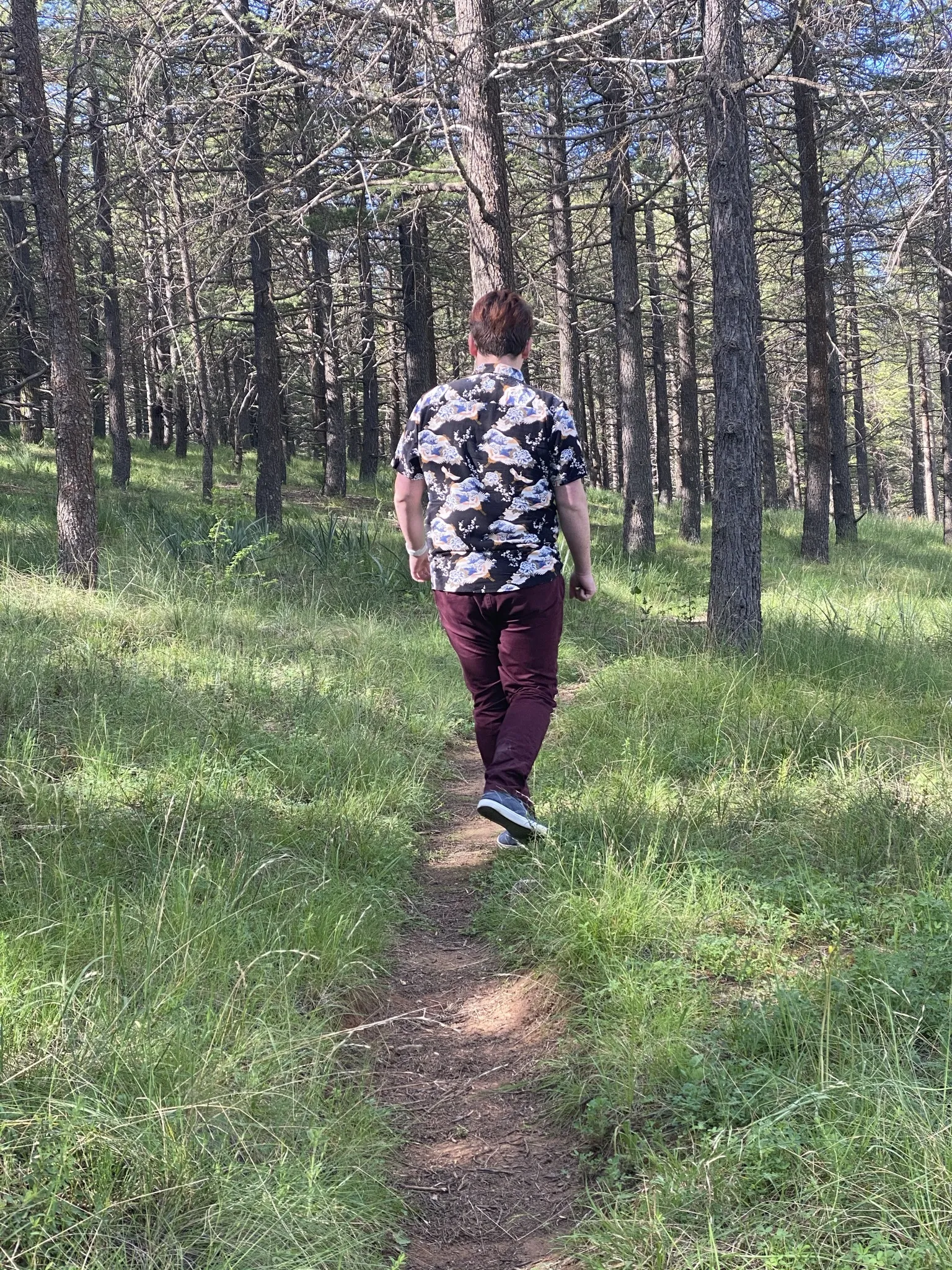 Aussiegay97 OnlyFans header