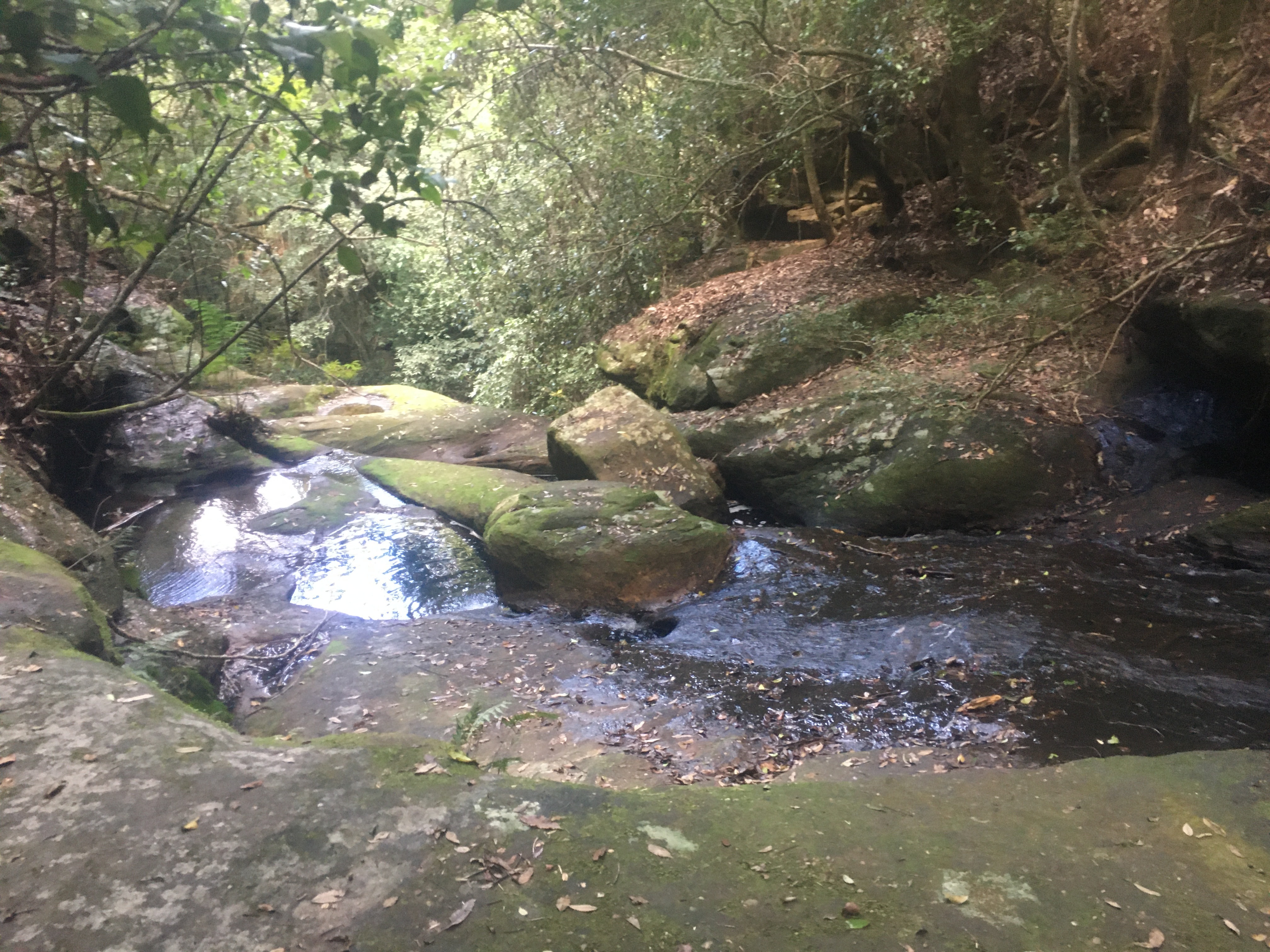 Aussiekyler OnlyFans header