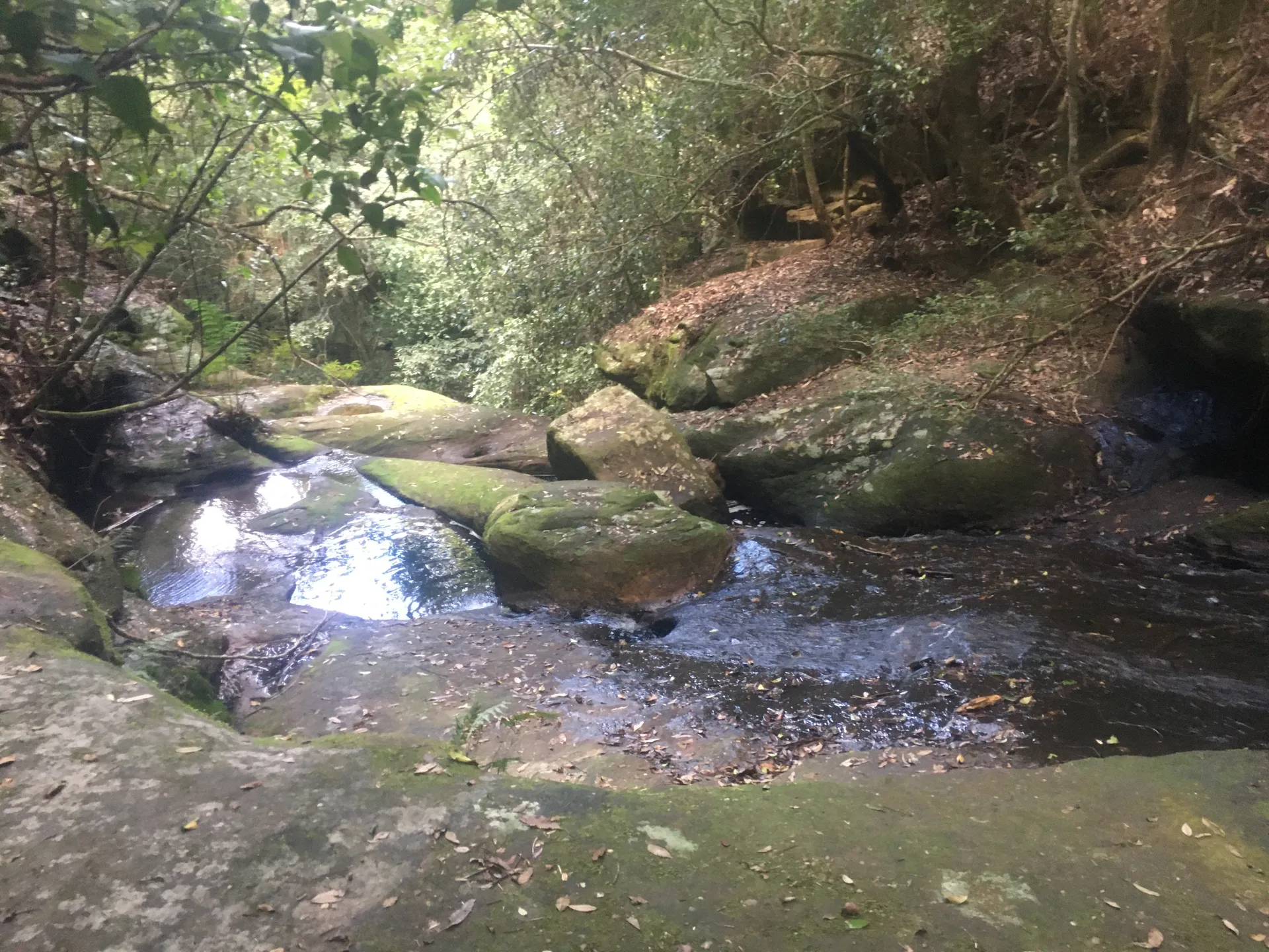 Aussiekyler OnlyFans header