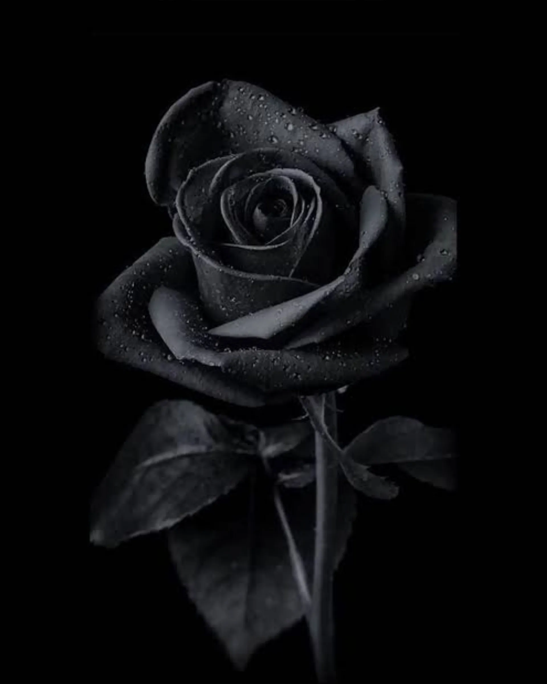 Aussiesupersoaker OnlyFans header