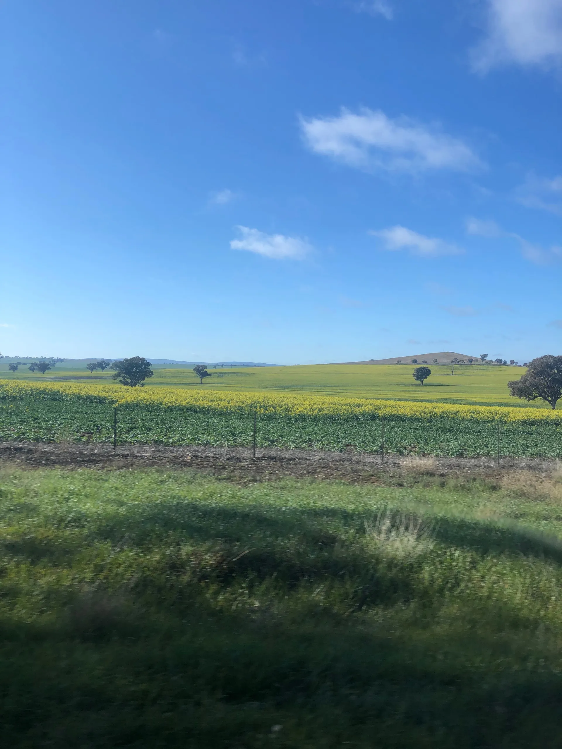 Aussie farmer OnlyFans header