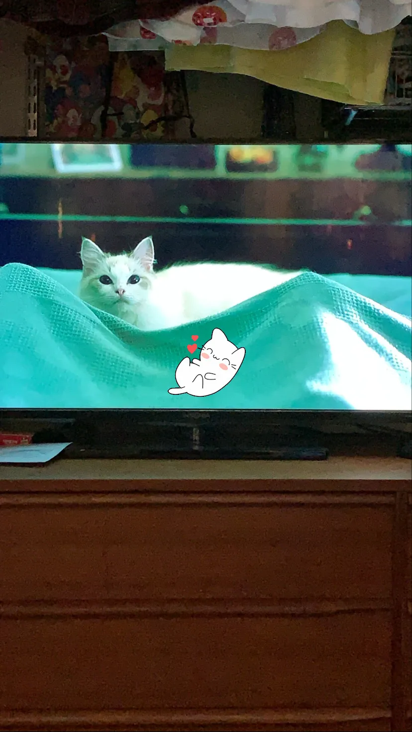 Austenjax OnlyFans header